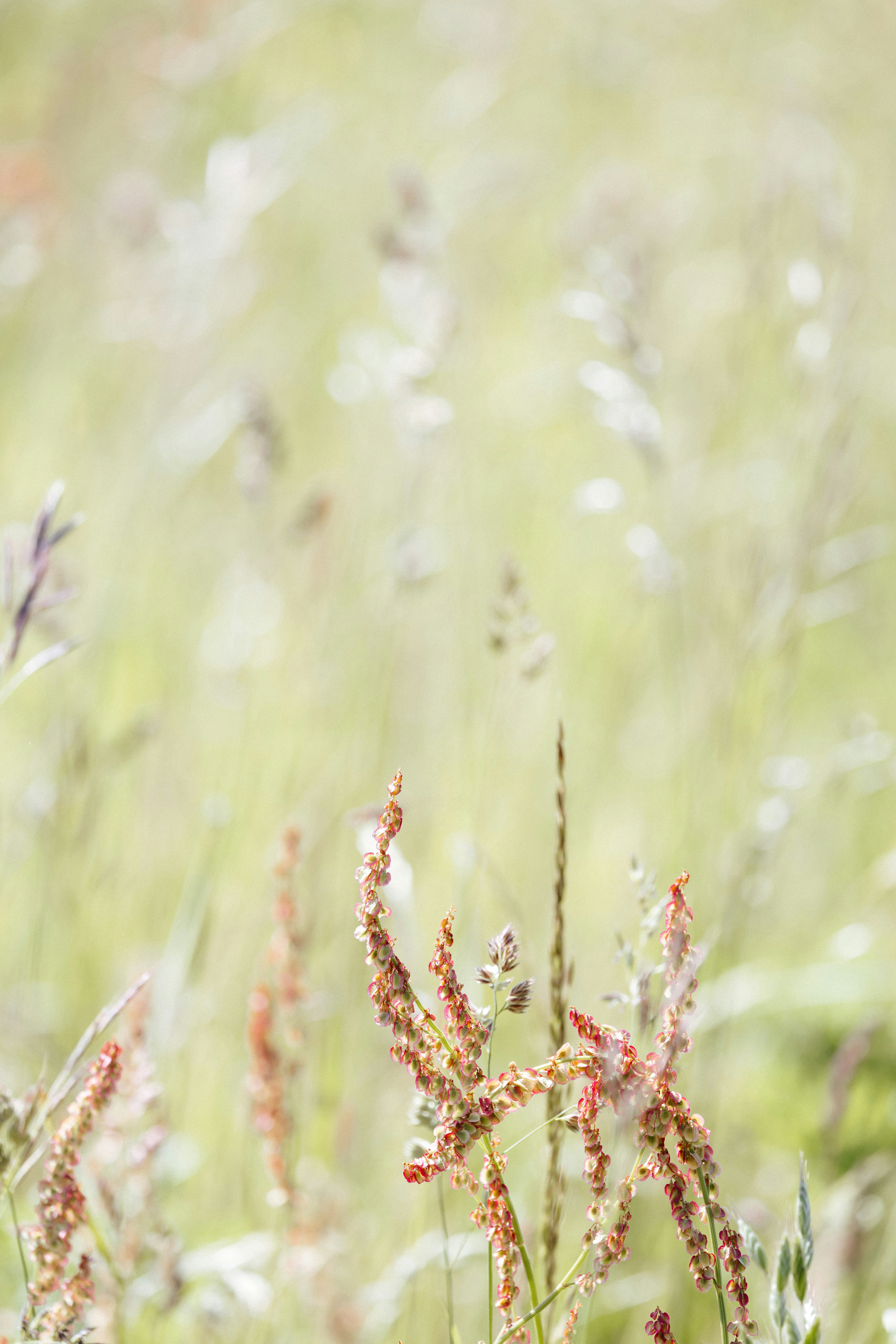 Photo by anniespratt