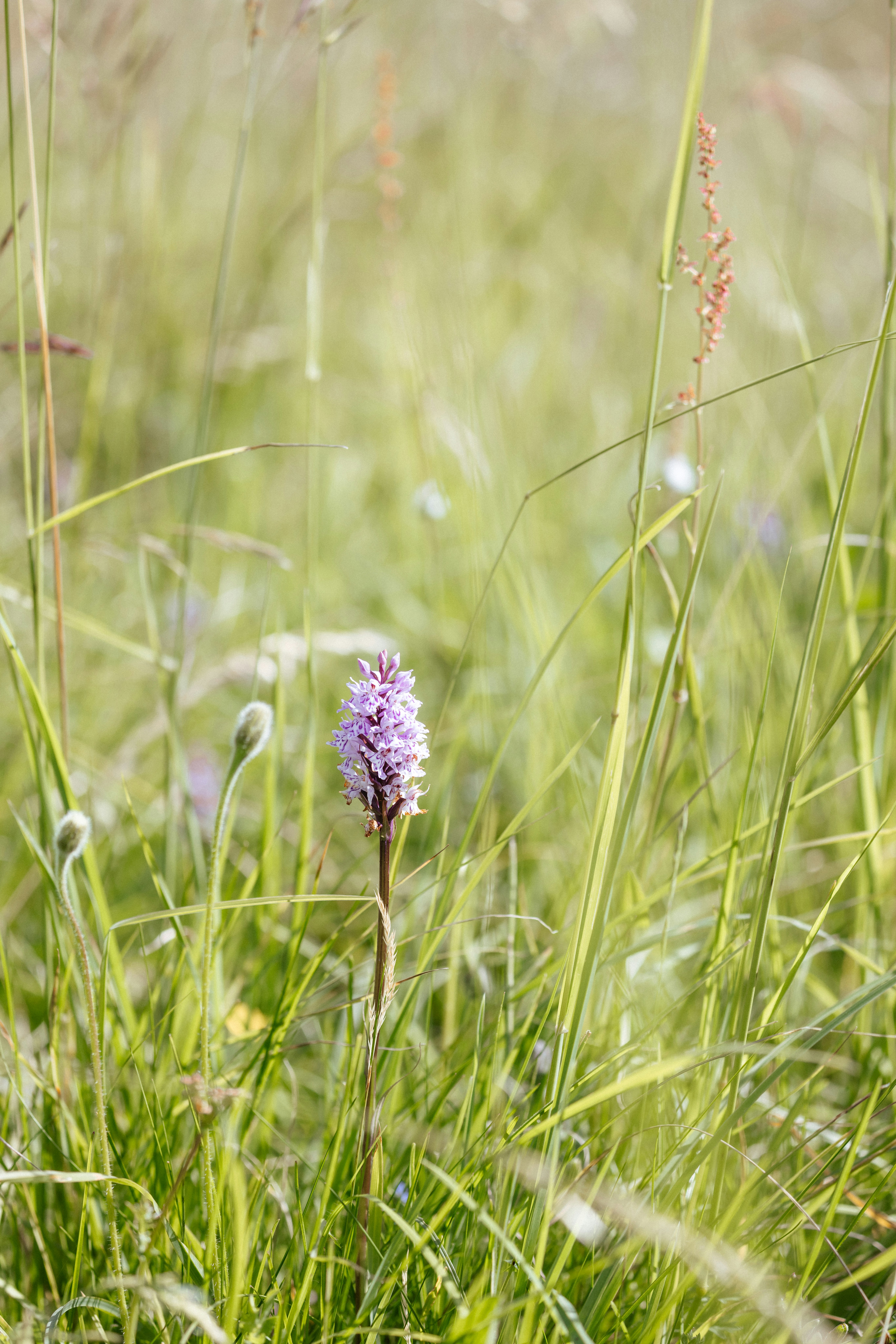 Photo by anniespratt