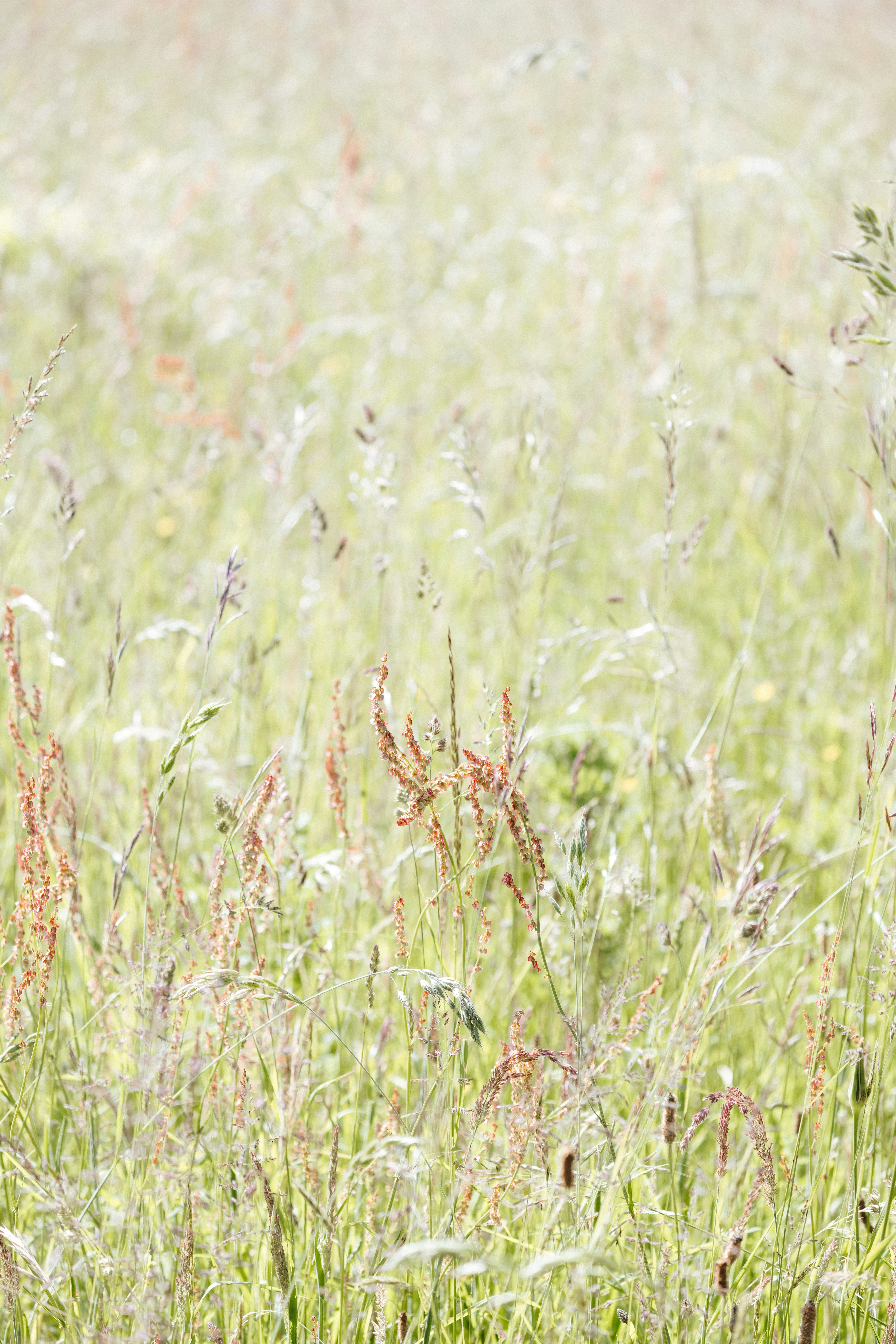 Photo by anniespratt