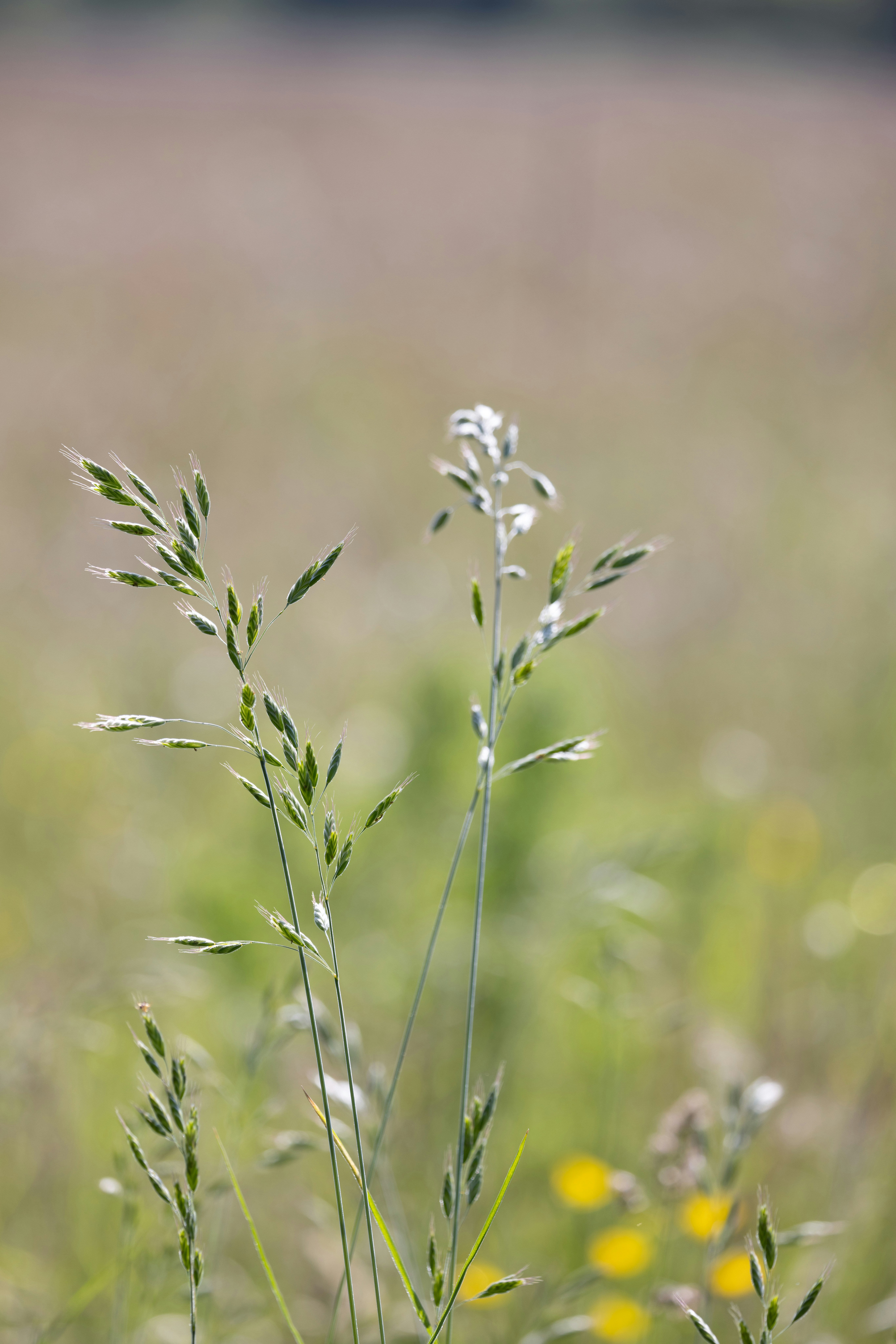 Photo by anniespratt