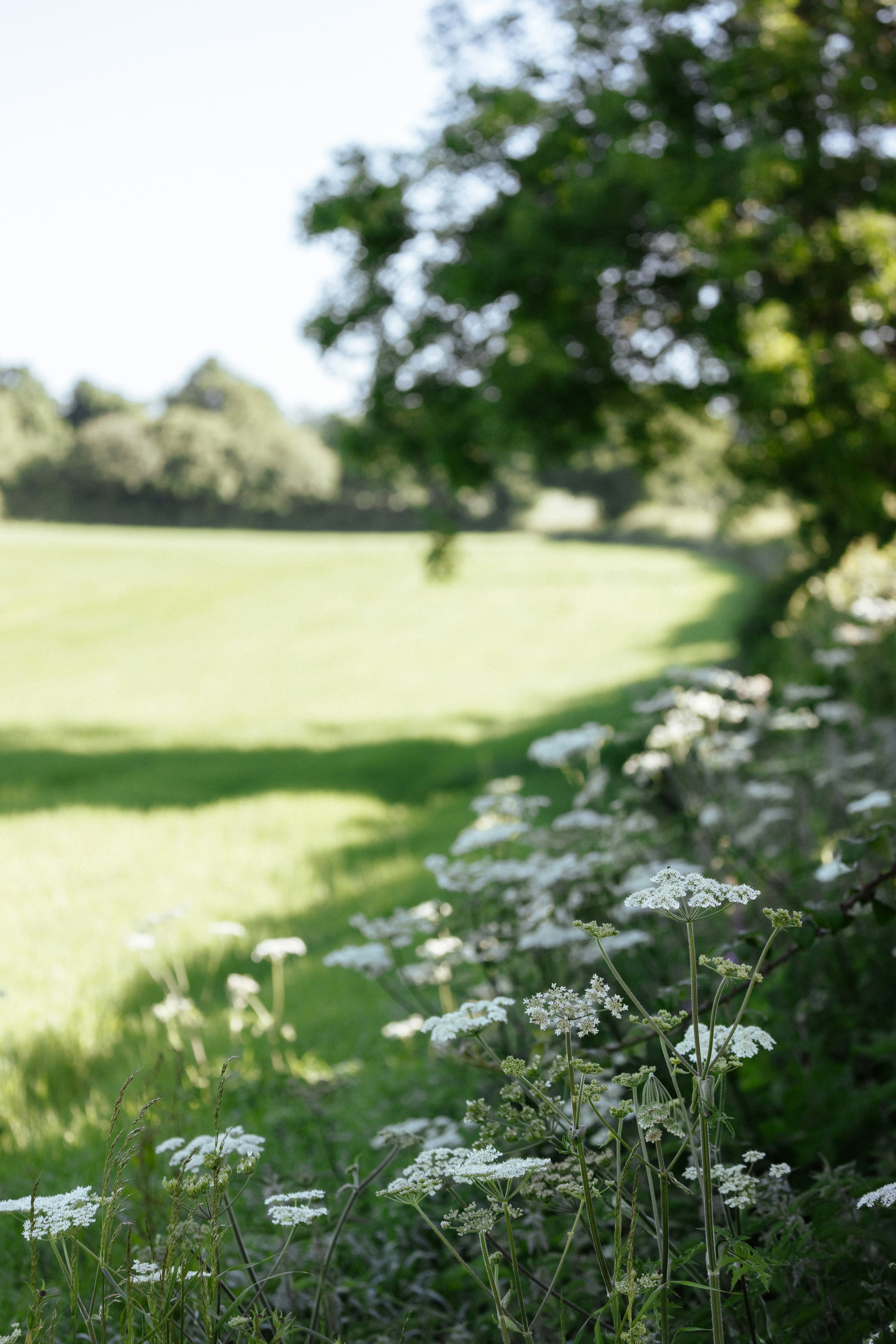 Photo by anniespratt