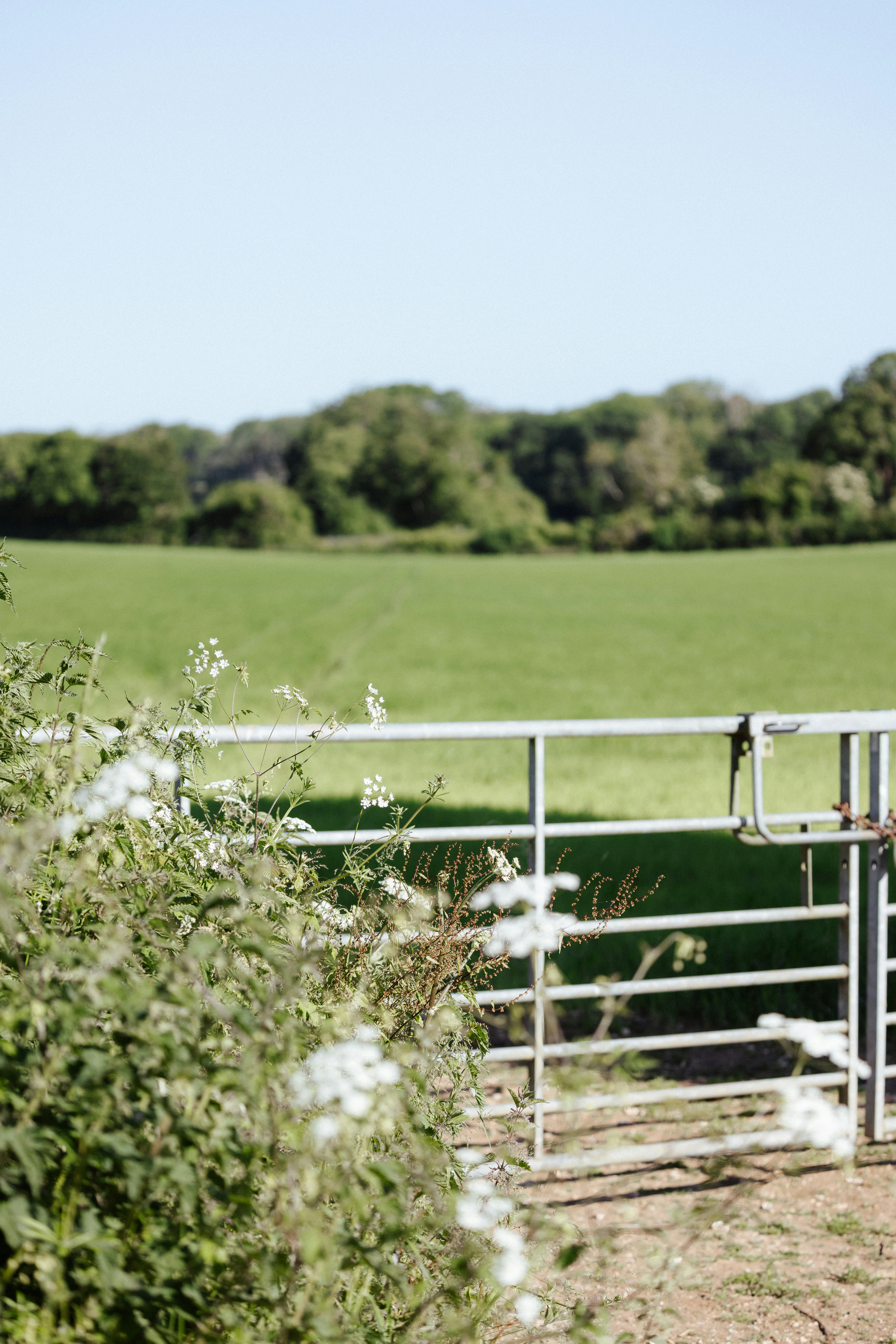 Photo by anniespratt