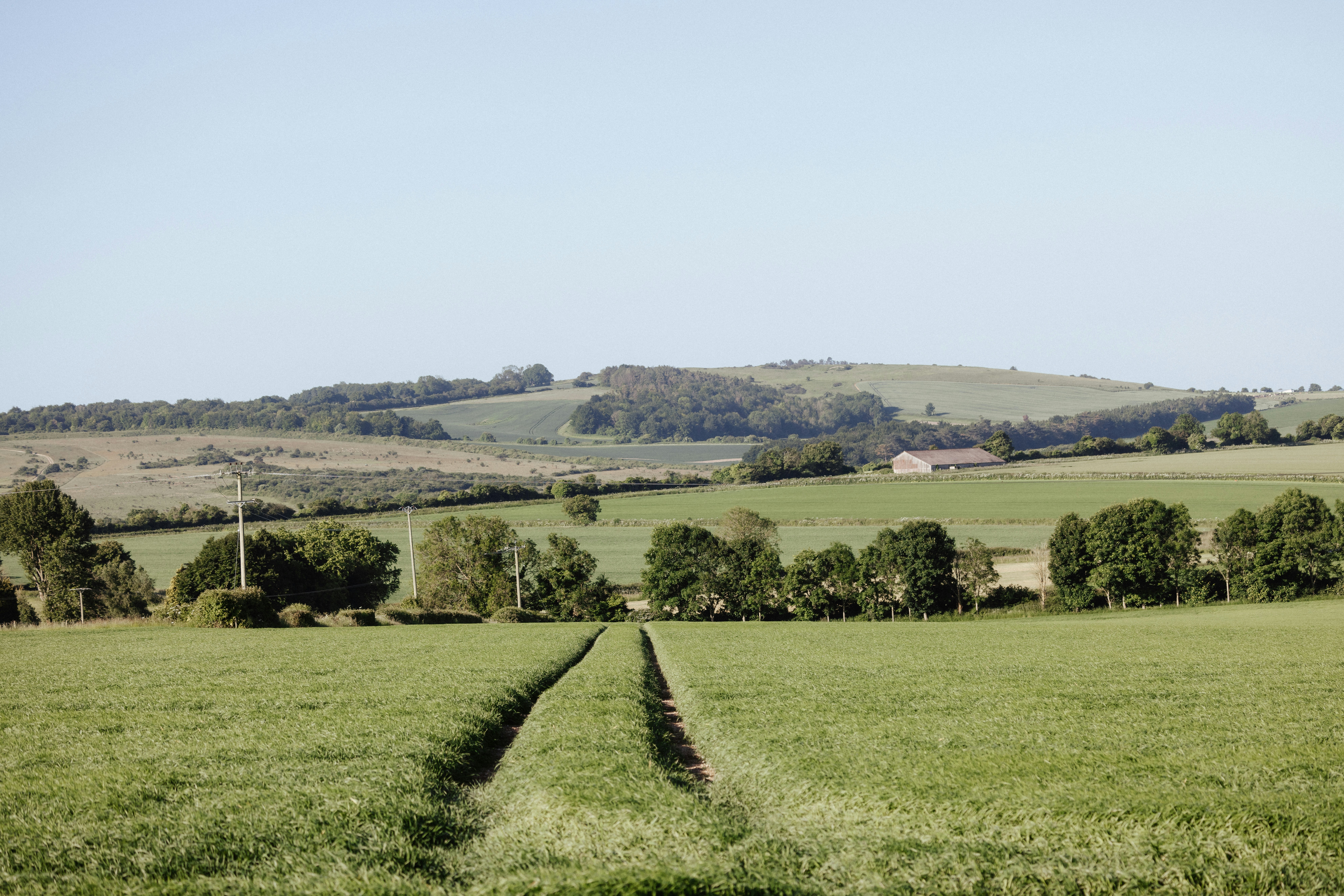 Photo by anniespratt