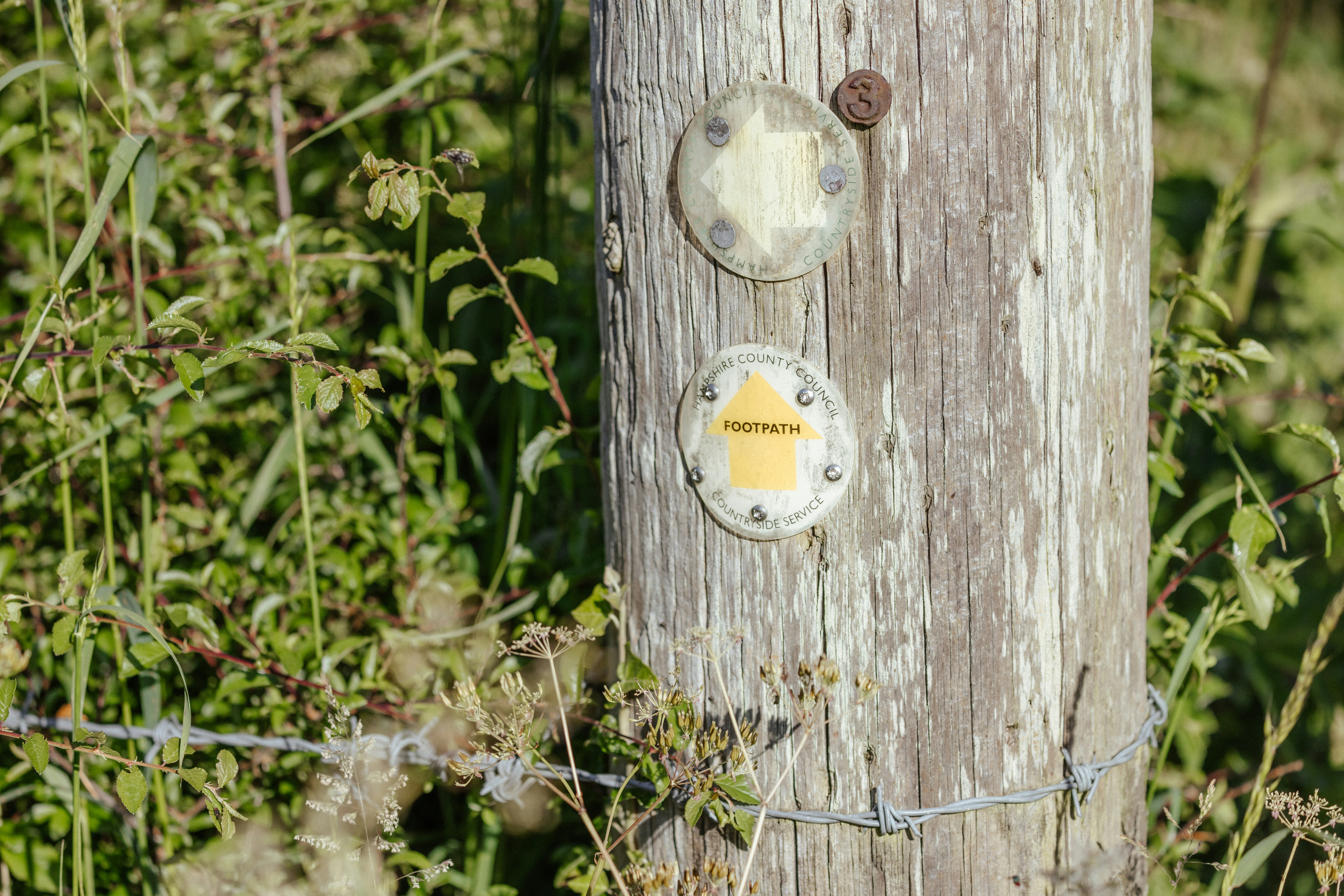 Photo by anniespratt