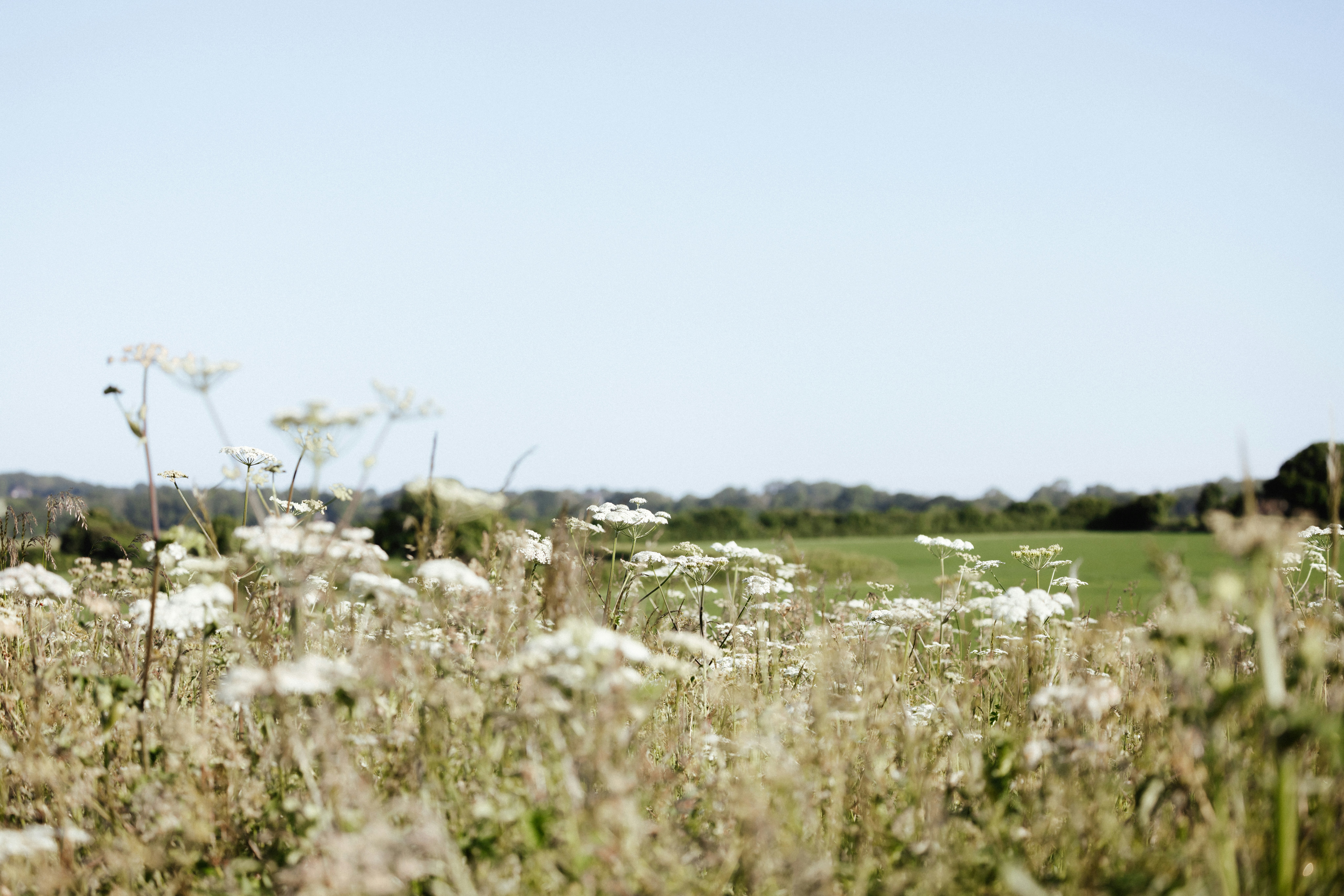 Photo by anniespratt