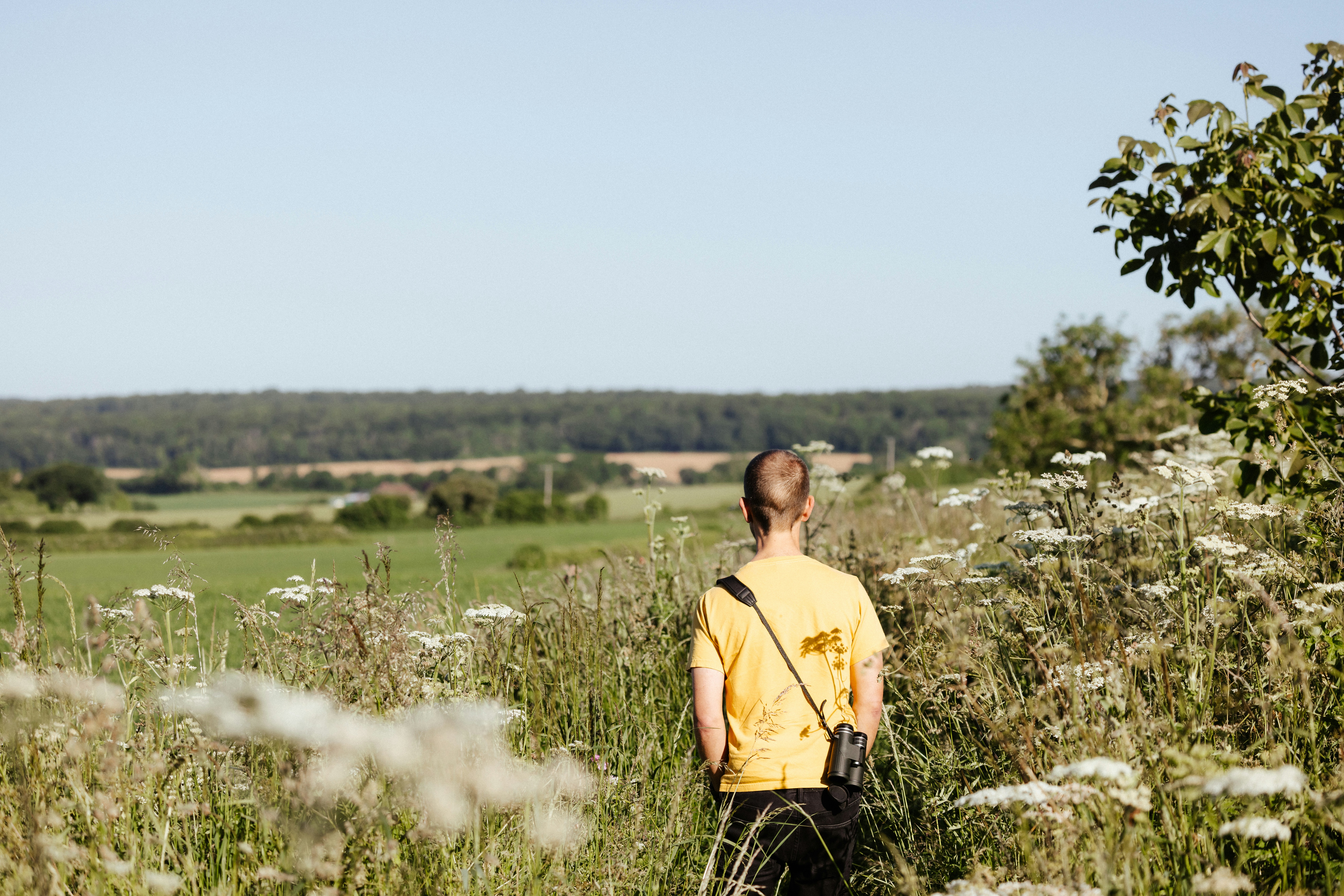 Photo by anniespratt