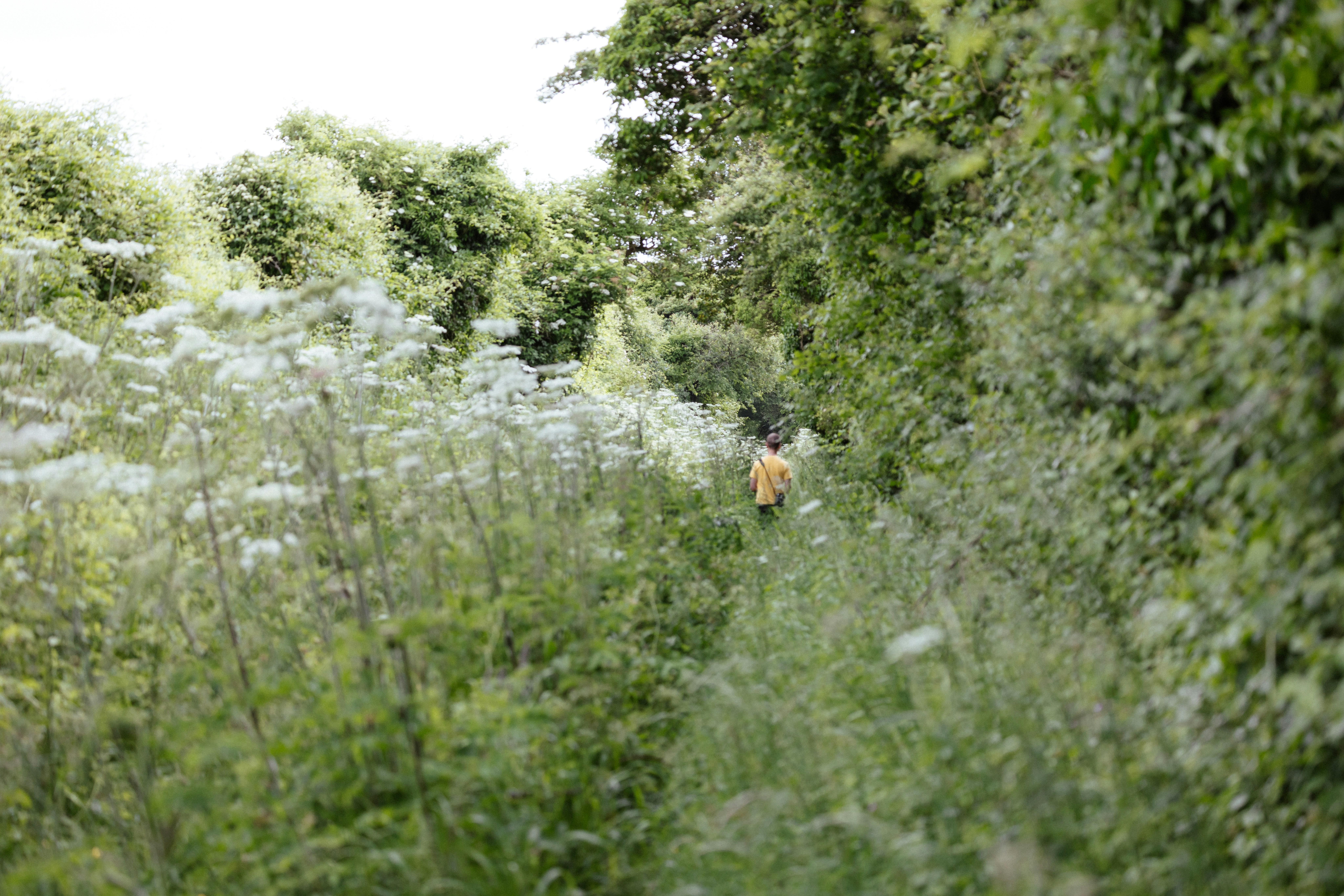 Photo by anniespratt