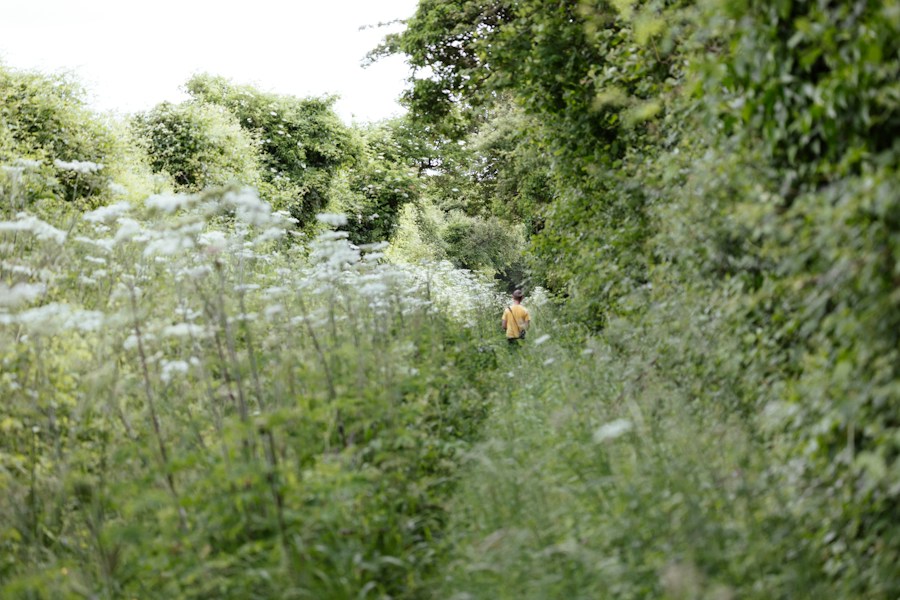 A person in a yellow shirt walking away along a narrow path through tall grass and trees