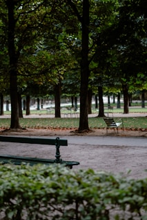 A park bench in the middle of a park