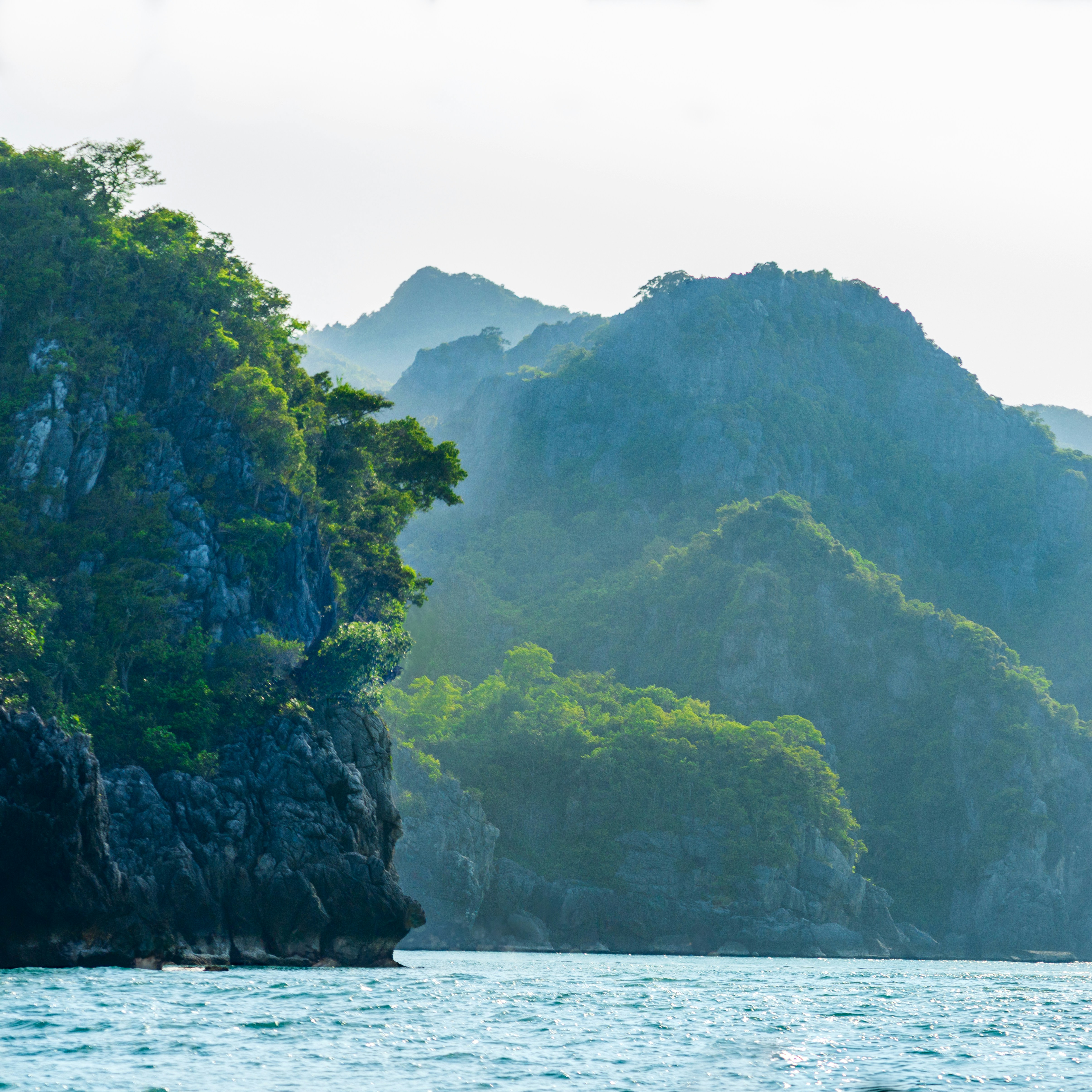 Photo by anton_lammert