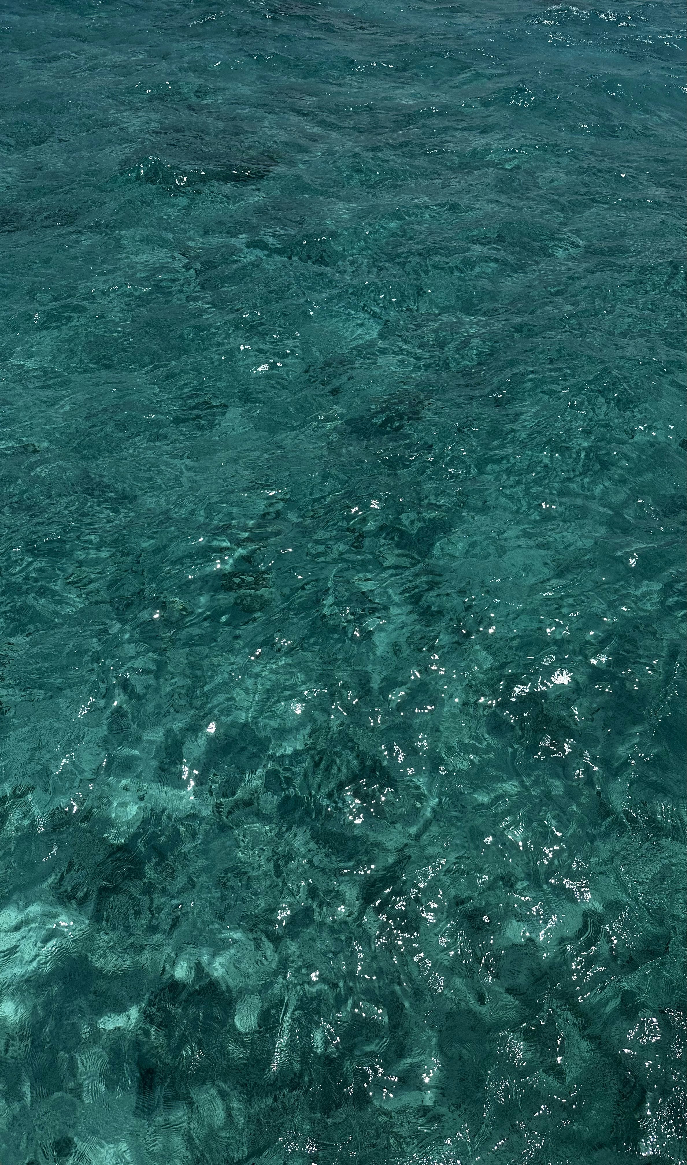 Photo by picgenerator