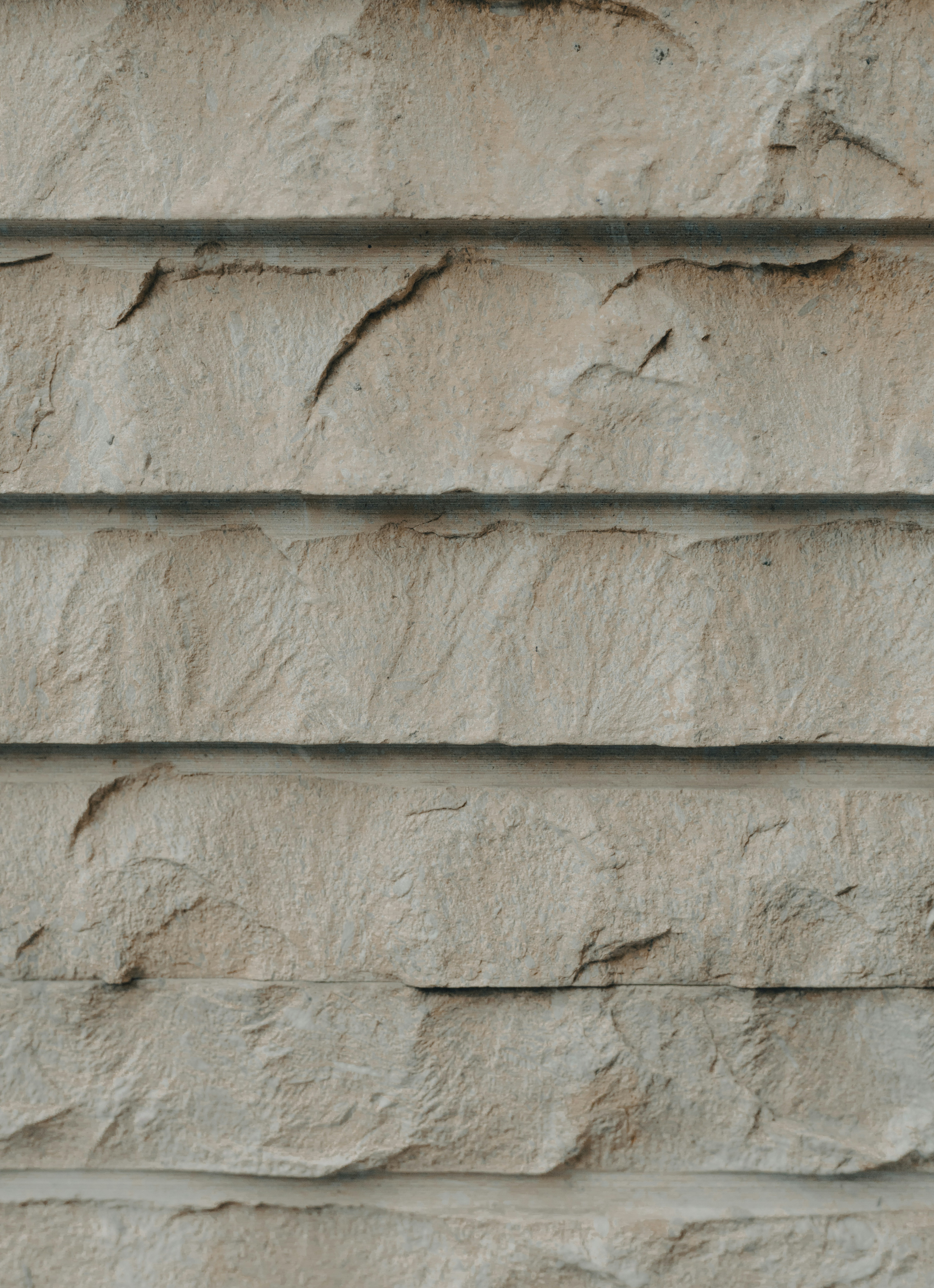 Photo by behy_studio