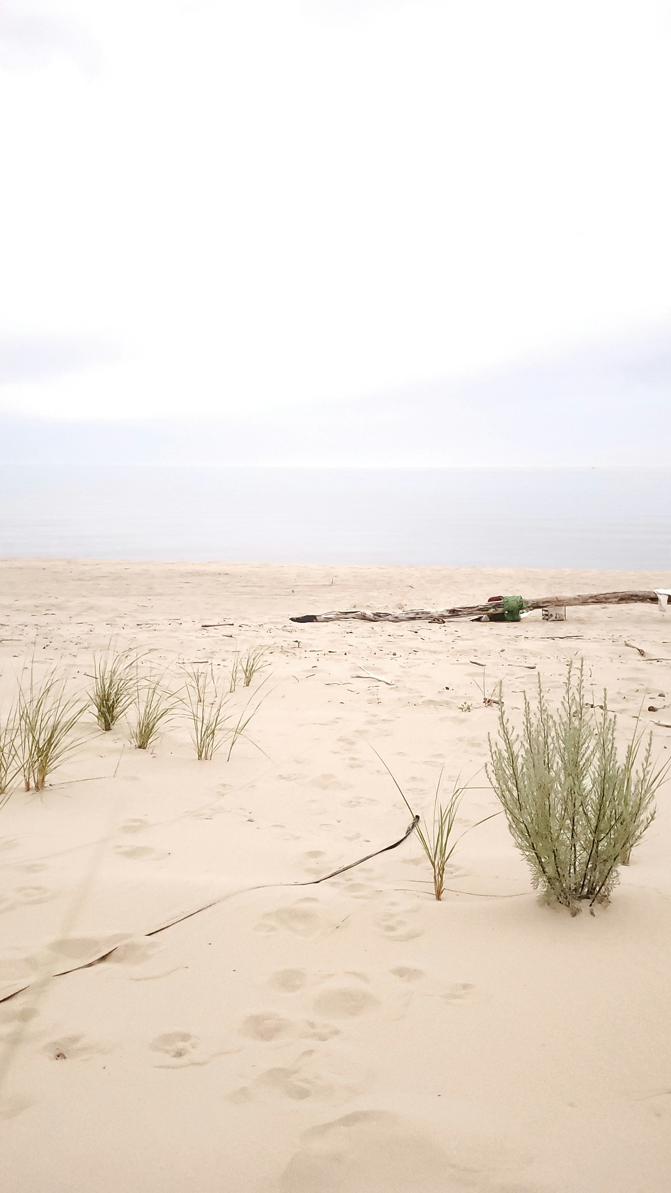 Photo by daria_zubal