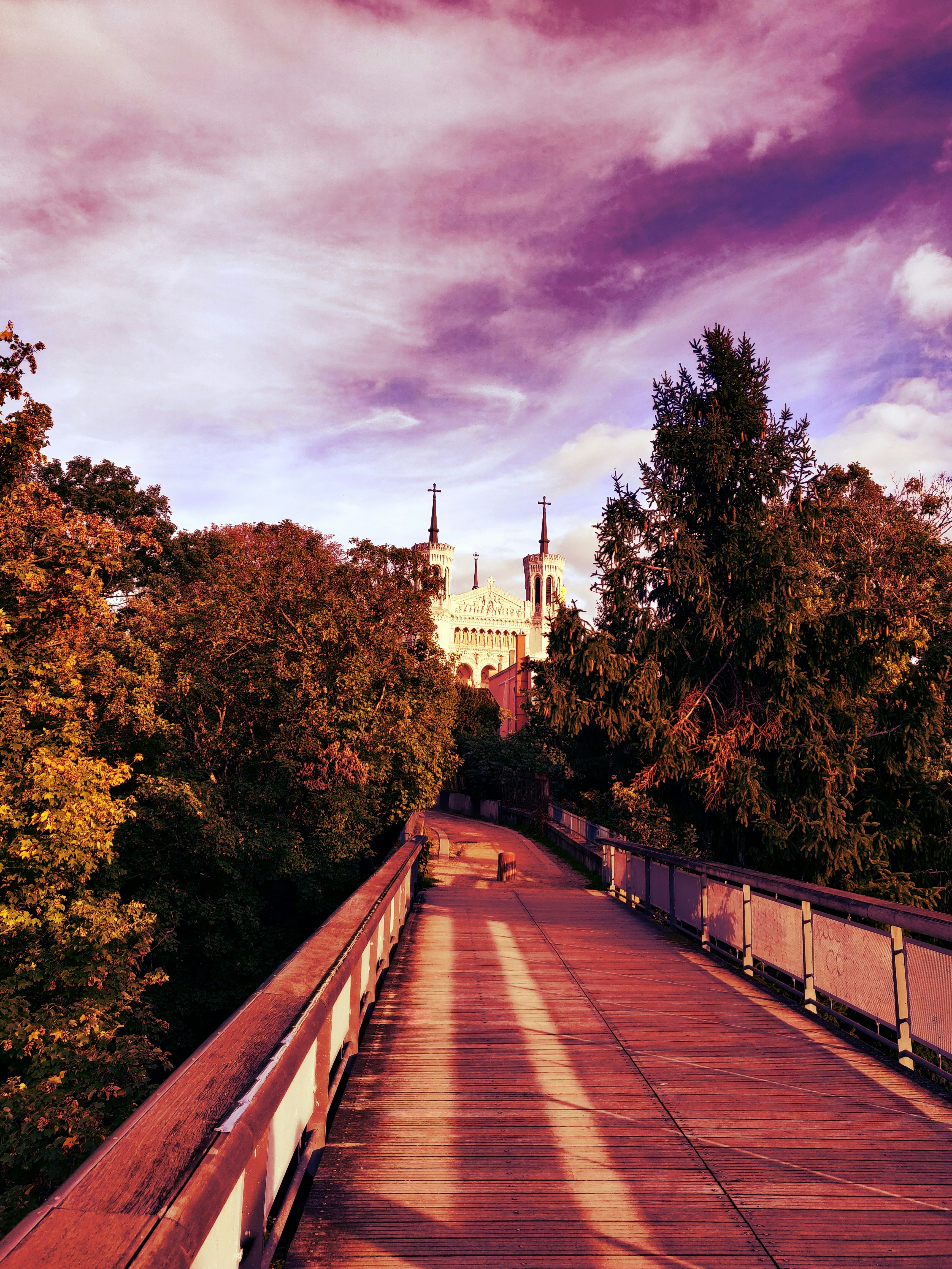 A view of a bridge with trees in the background