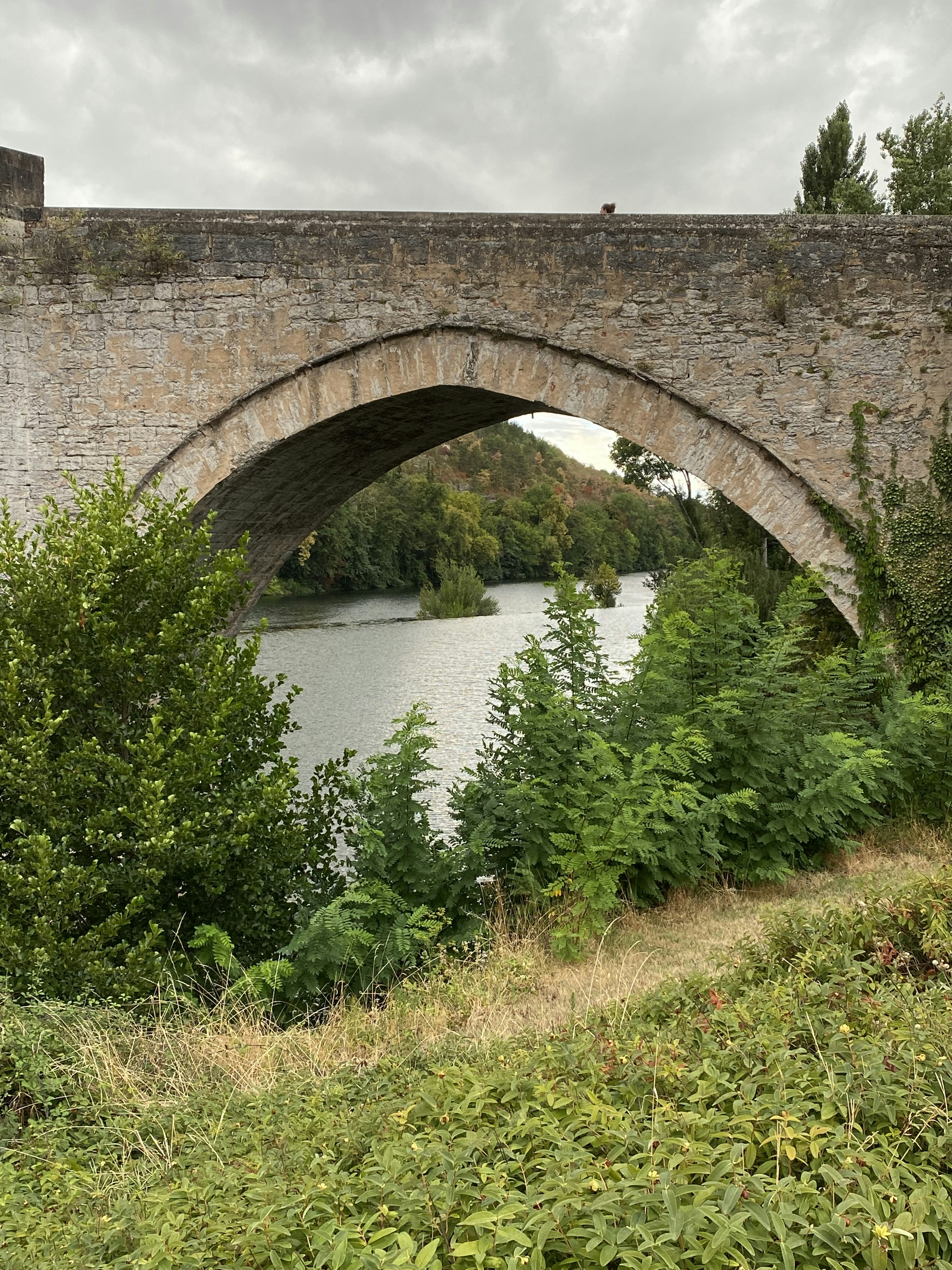 Photo by tanyasdigitalart