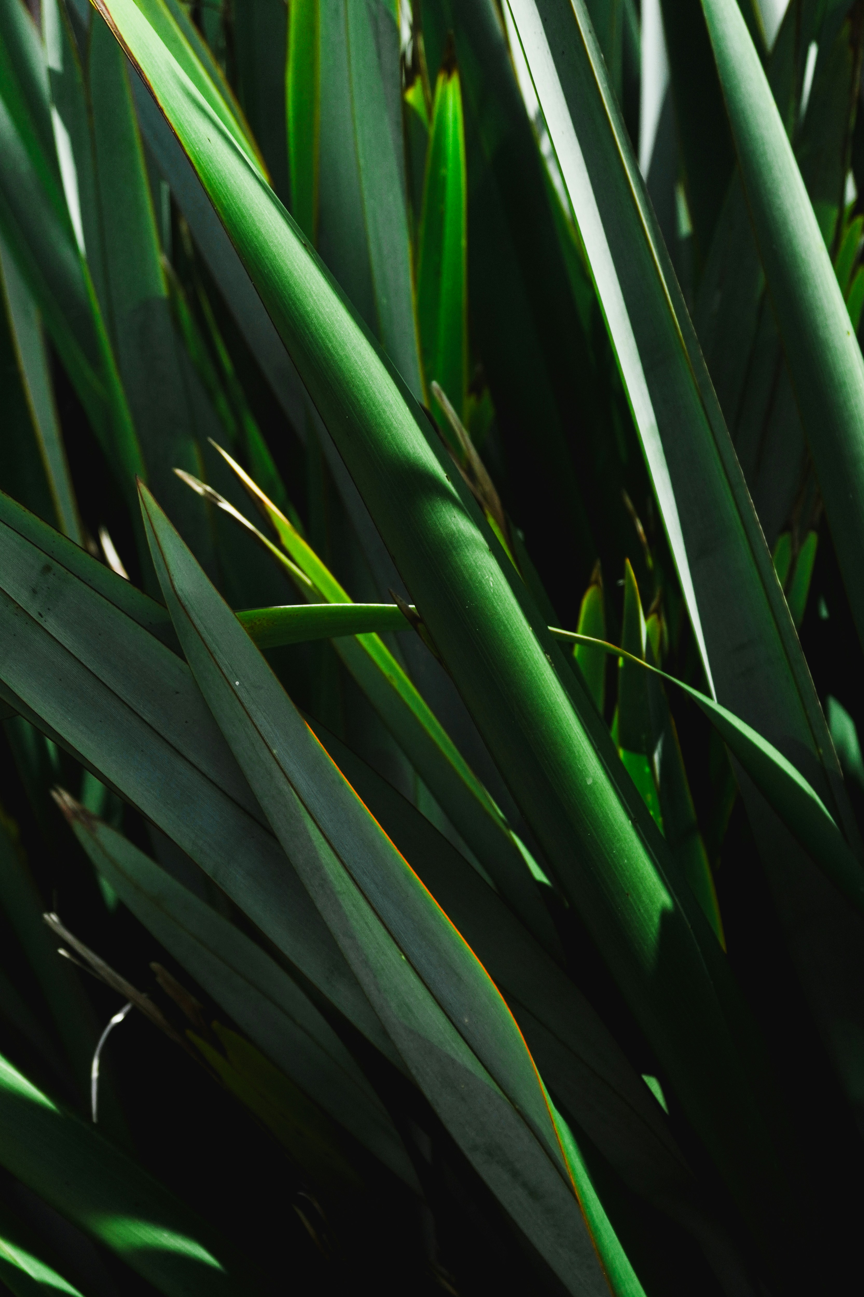 Photo by andreicastanha