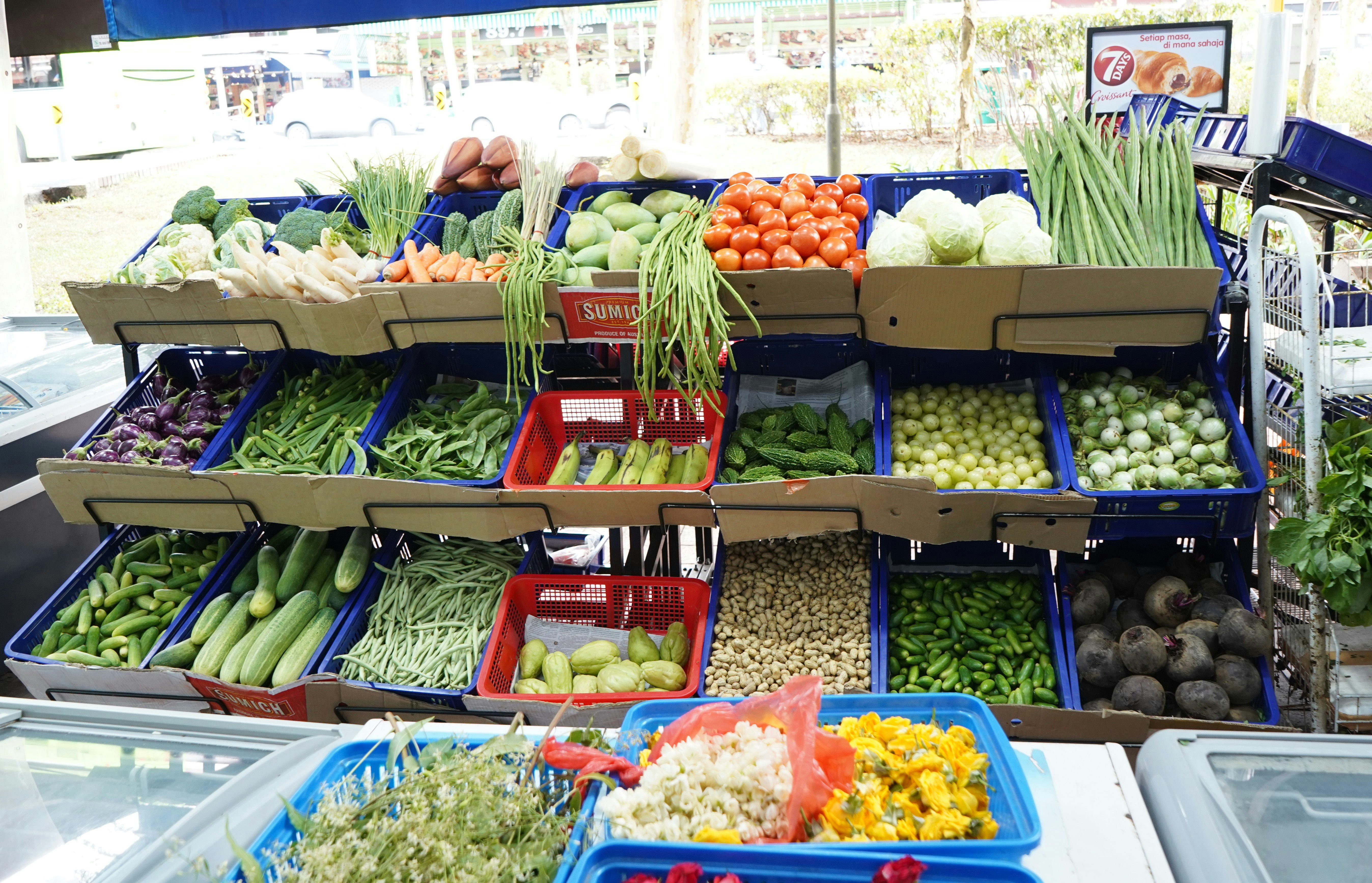 A display of vegetables in a grocery store