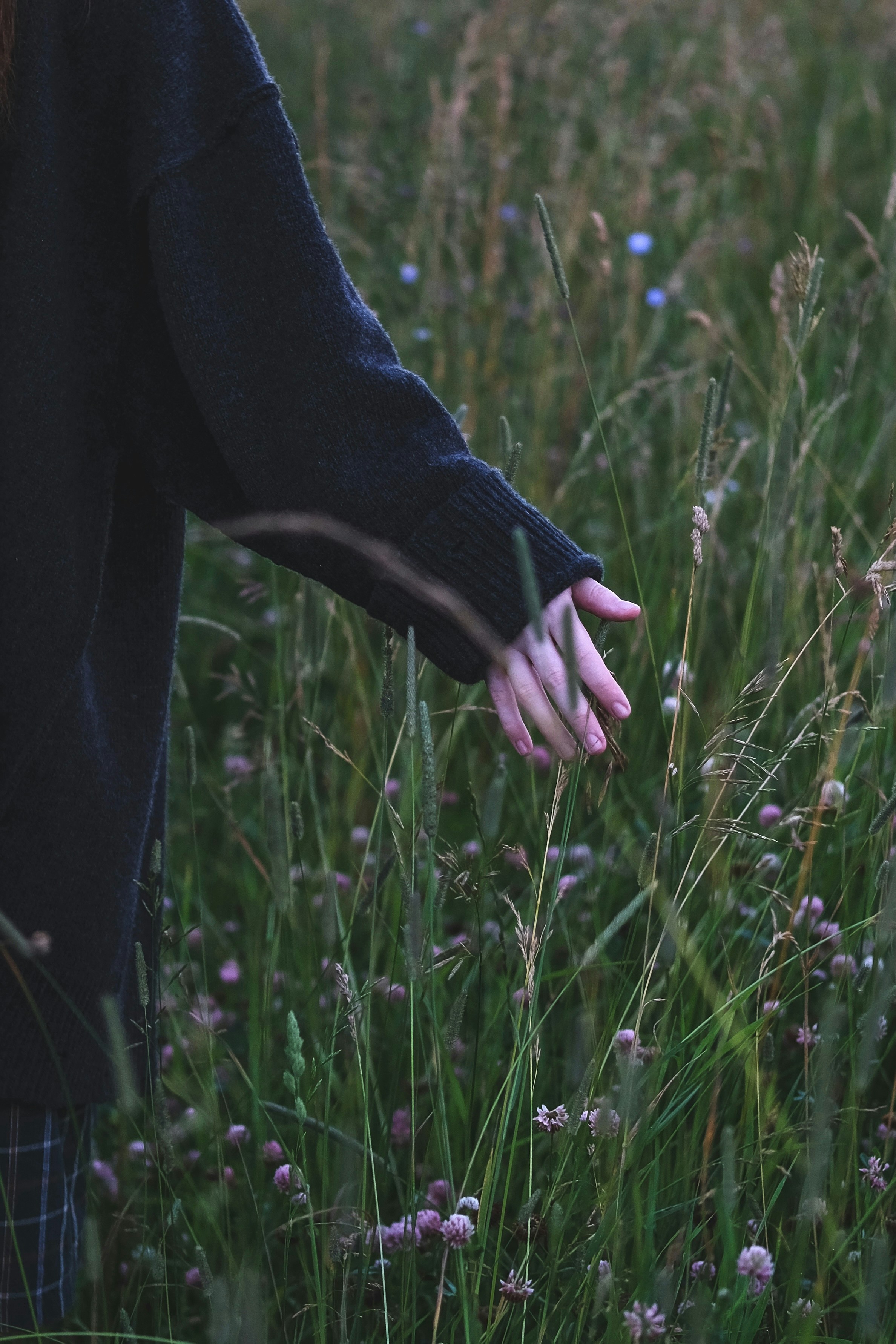 Photo by rolig_basseng