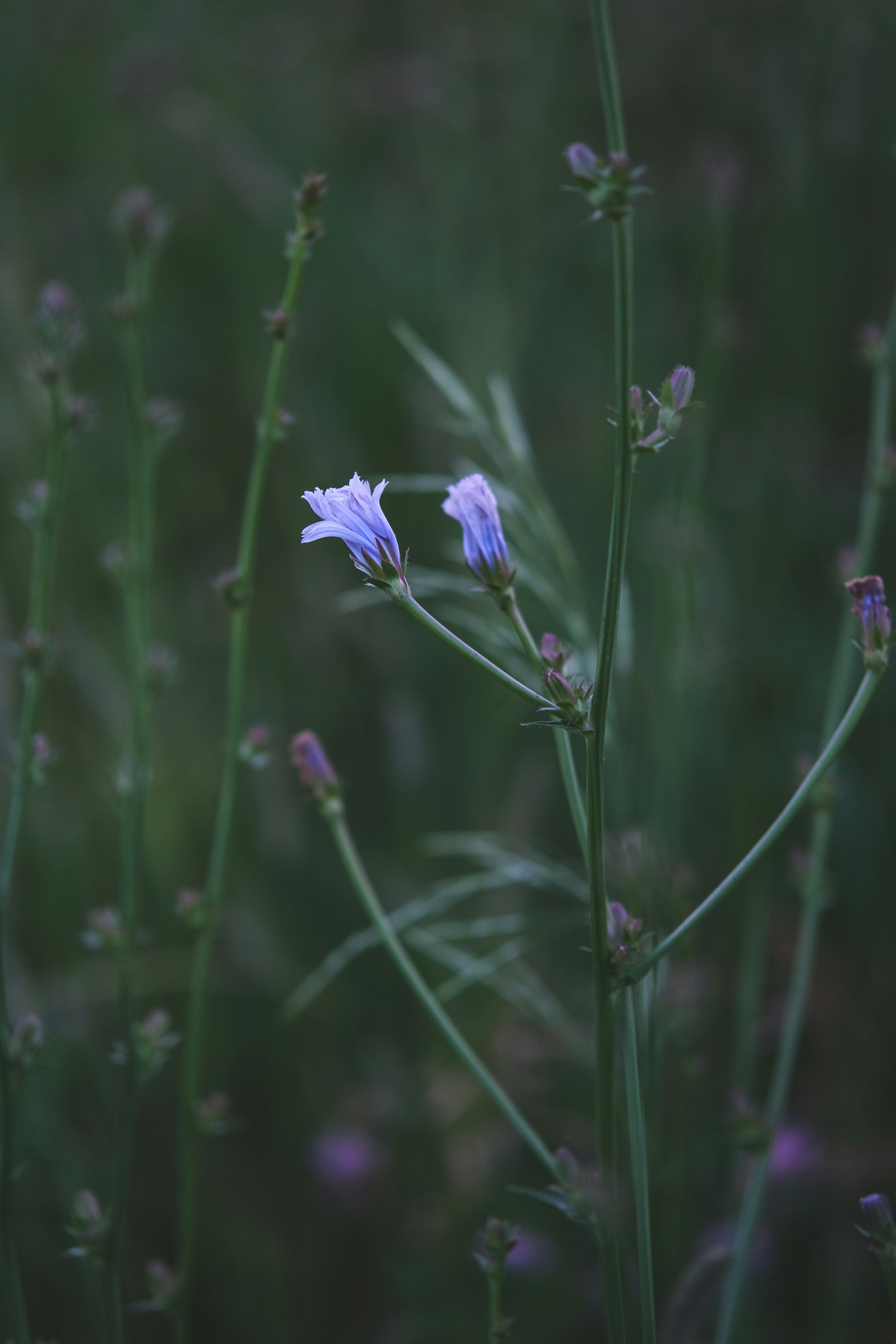 Photo by rolig_basseng