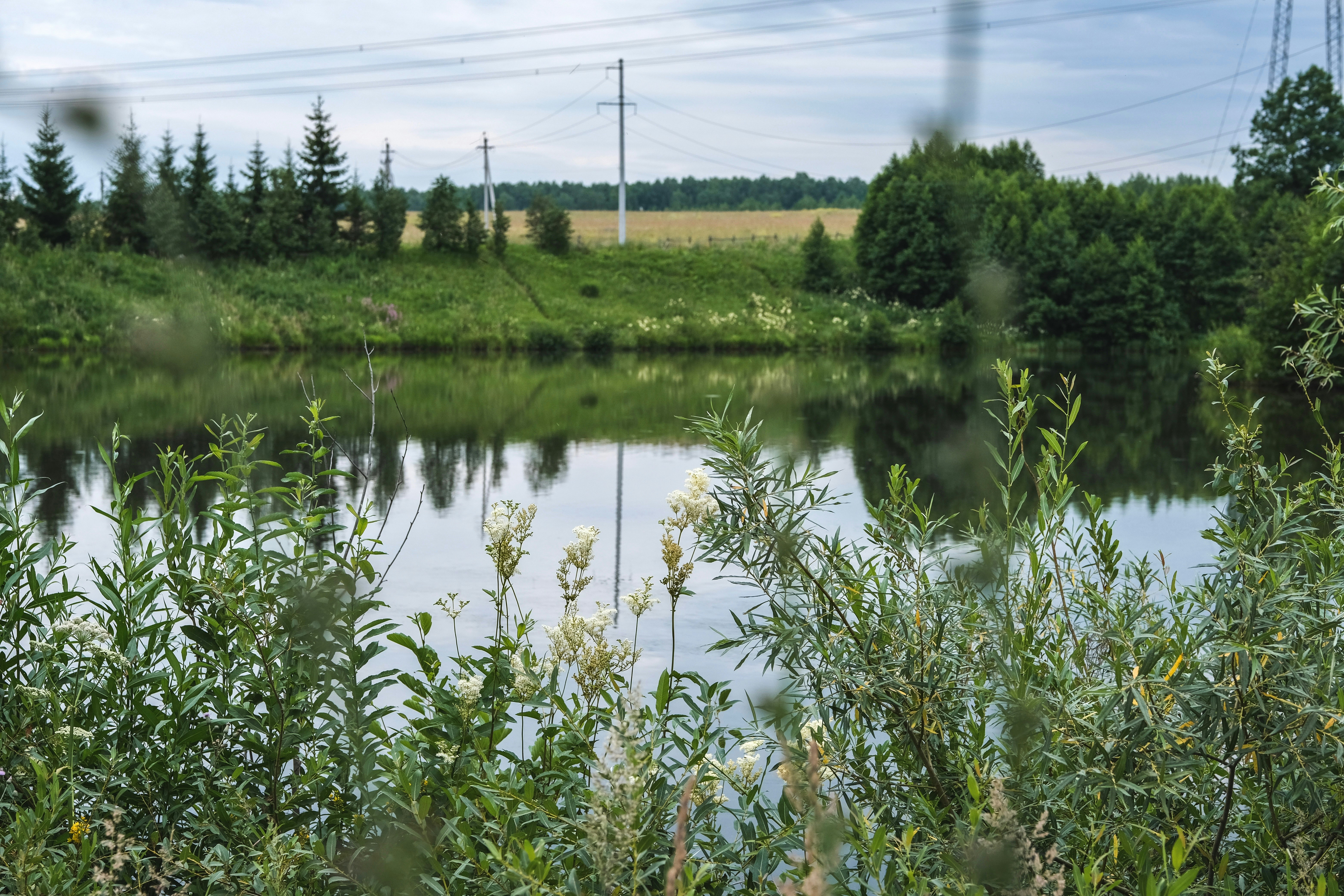 Photo by rolig_basseng