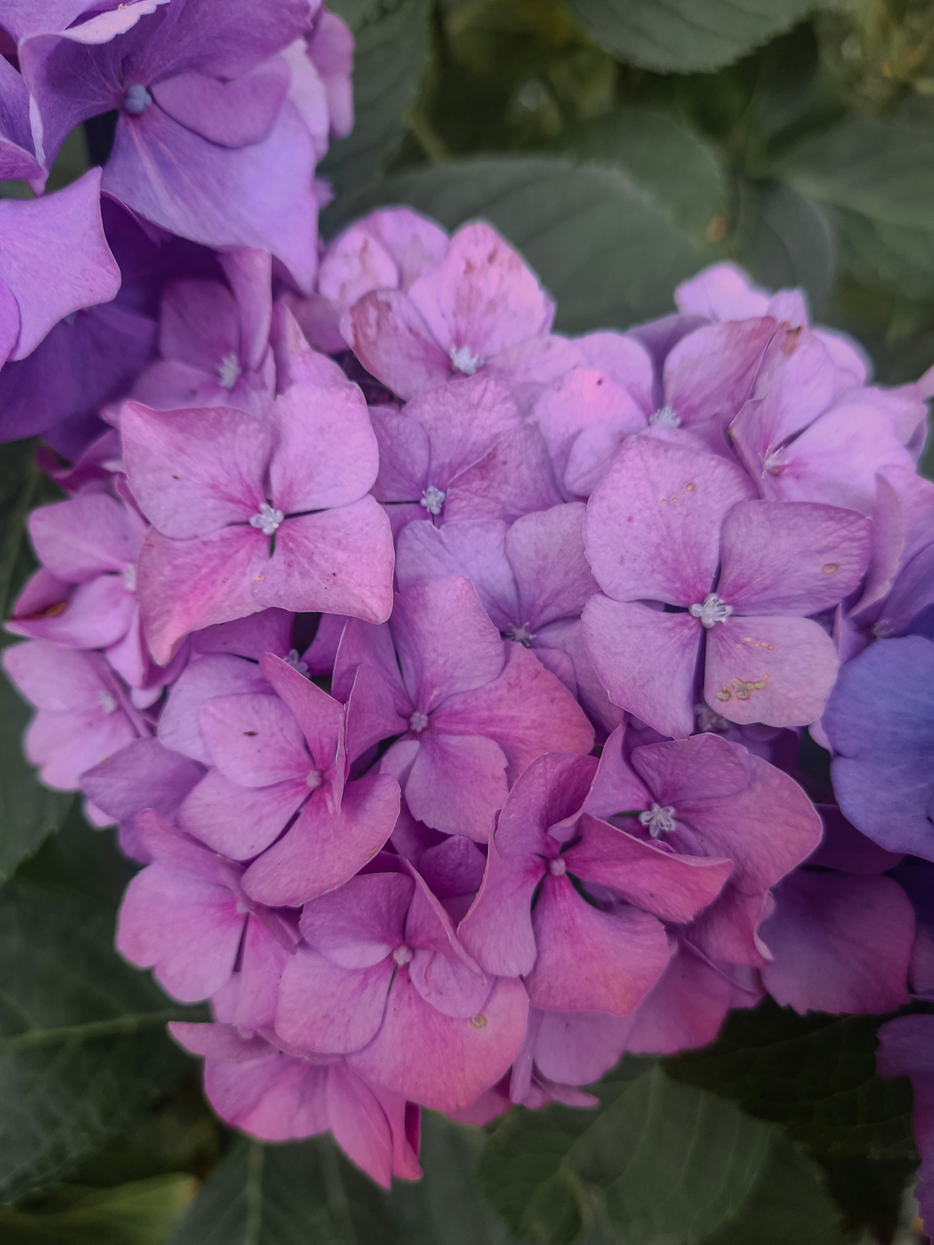 Photo by meshaal_hajali