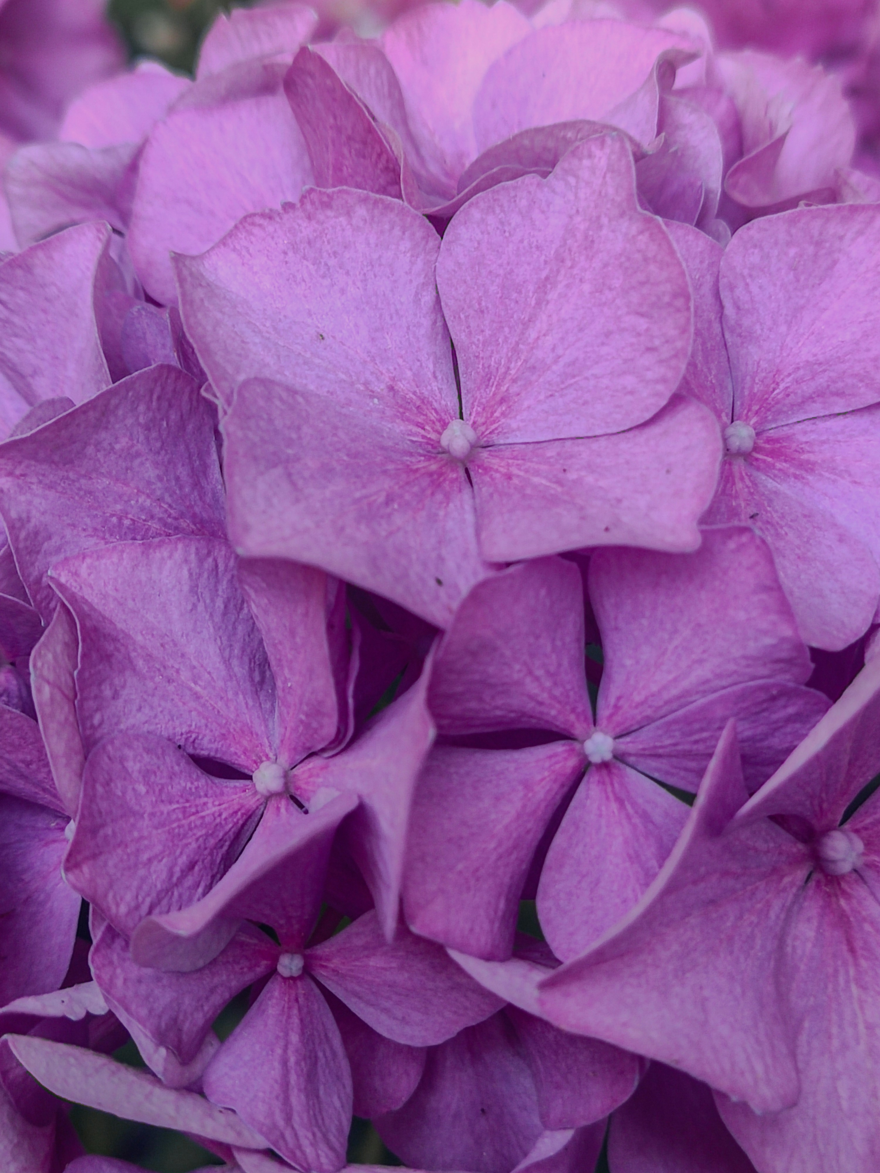 Photo by meshaal_hajali