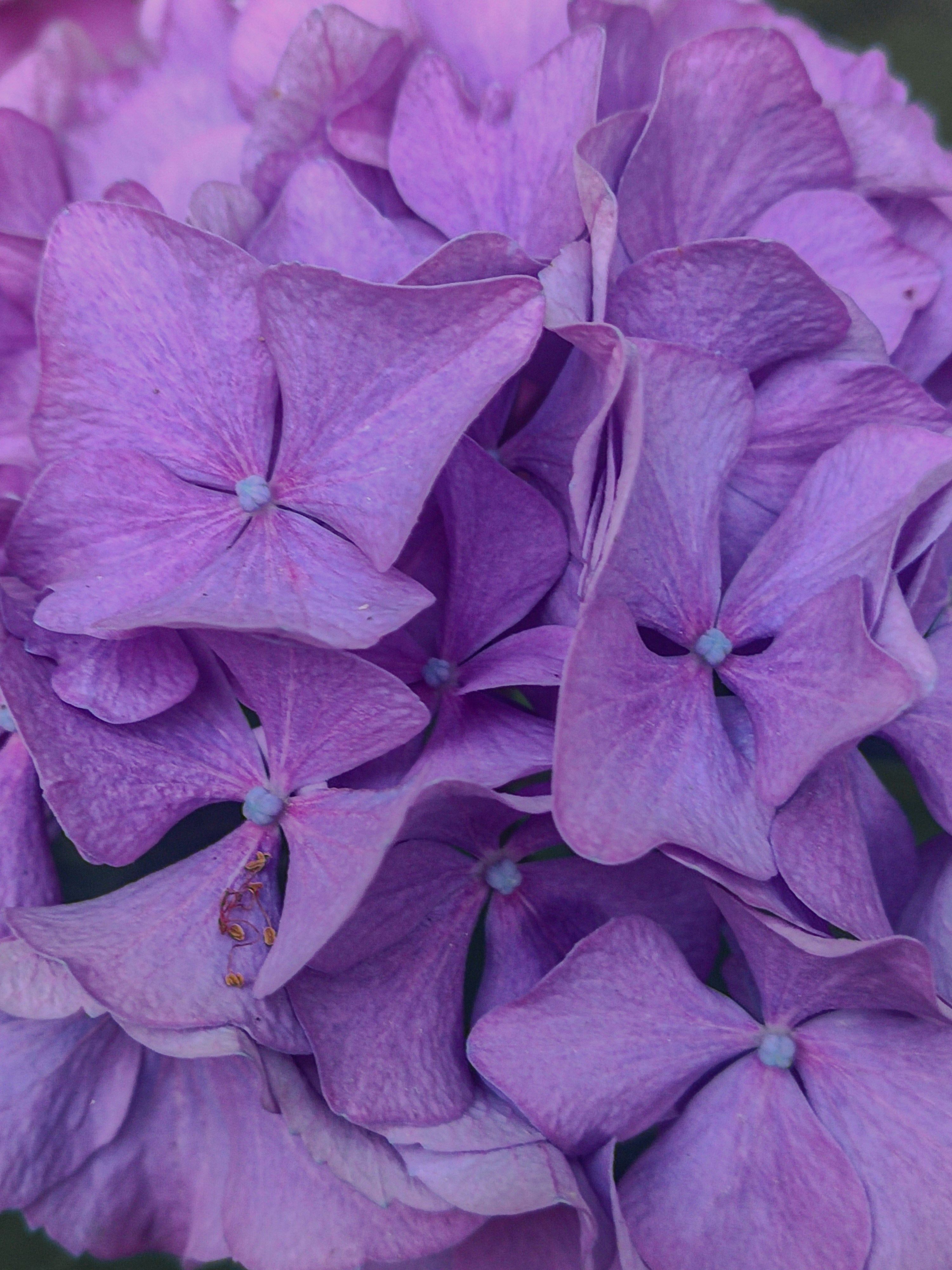 Photo by meshaal_hajali