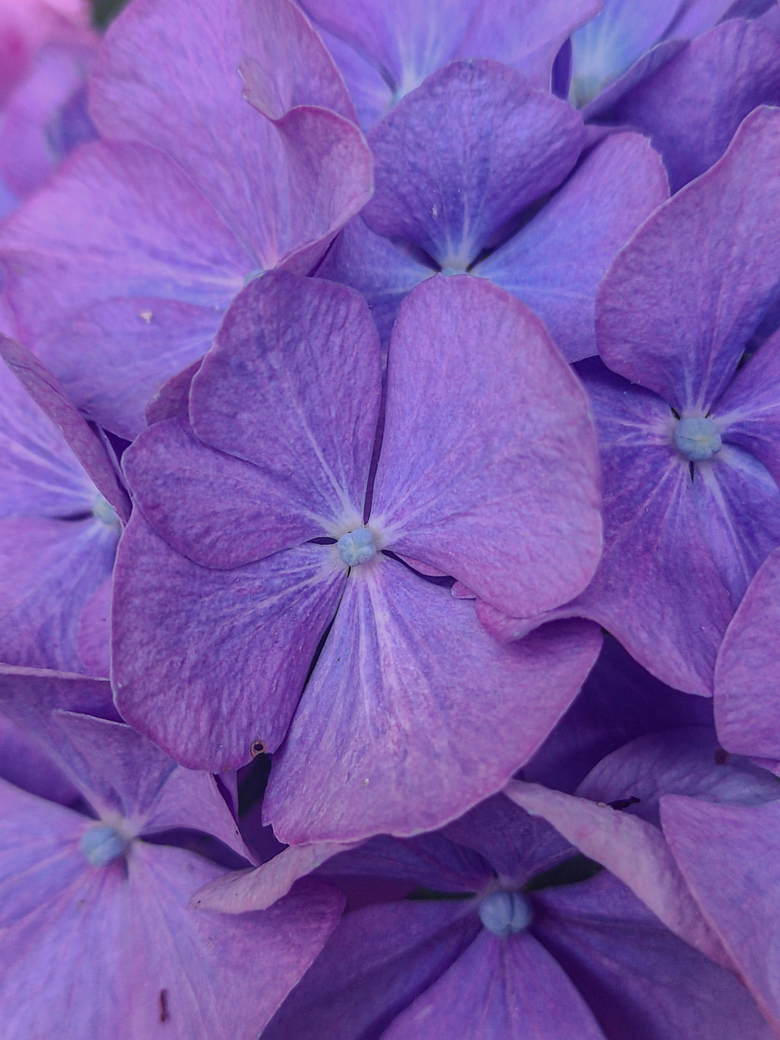 Photo by meshaal_hajali