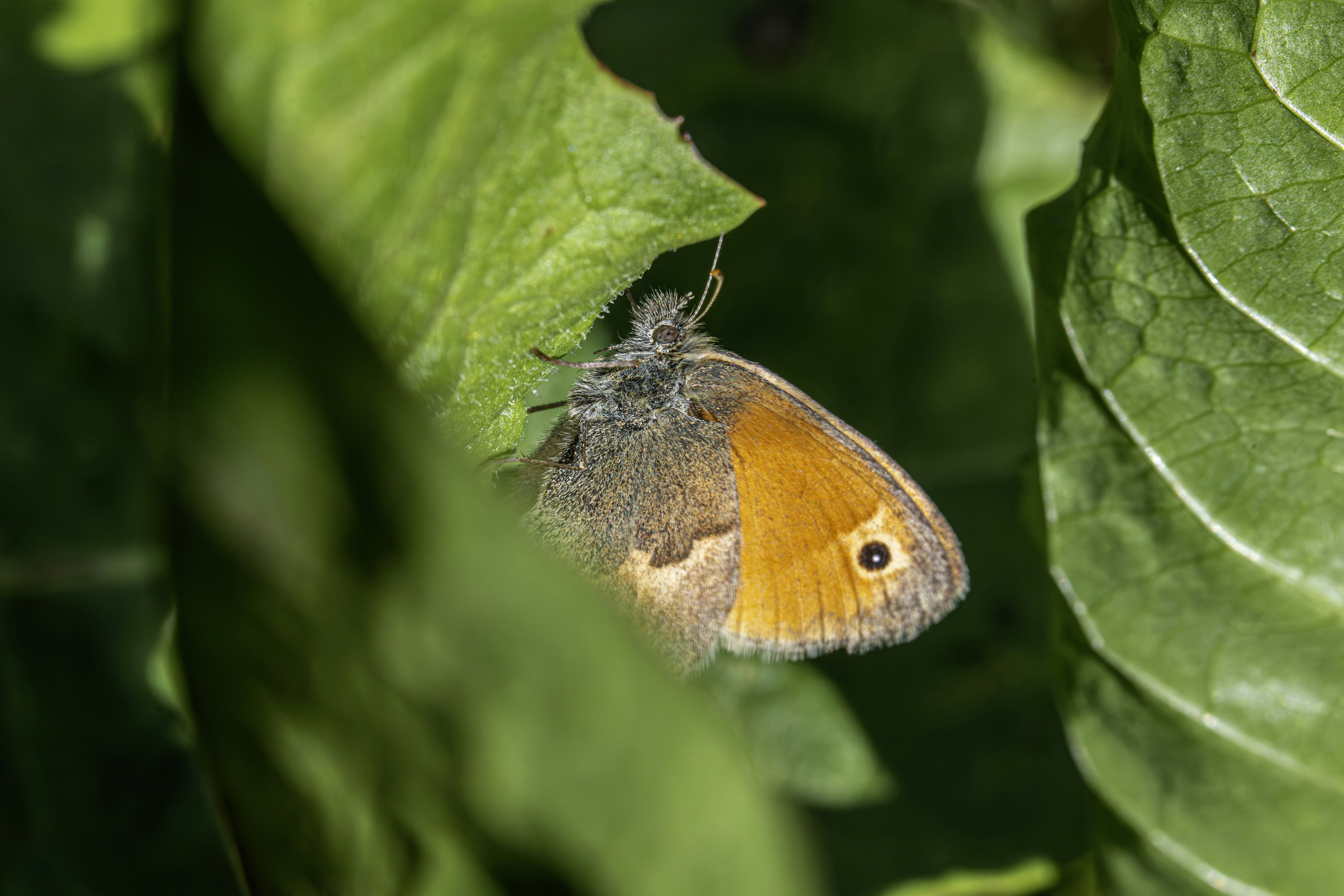 Photo by erik_karits