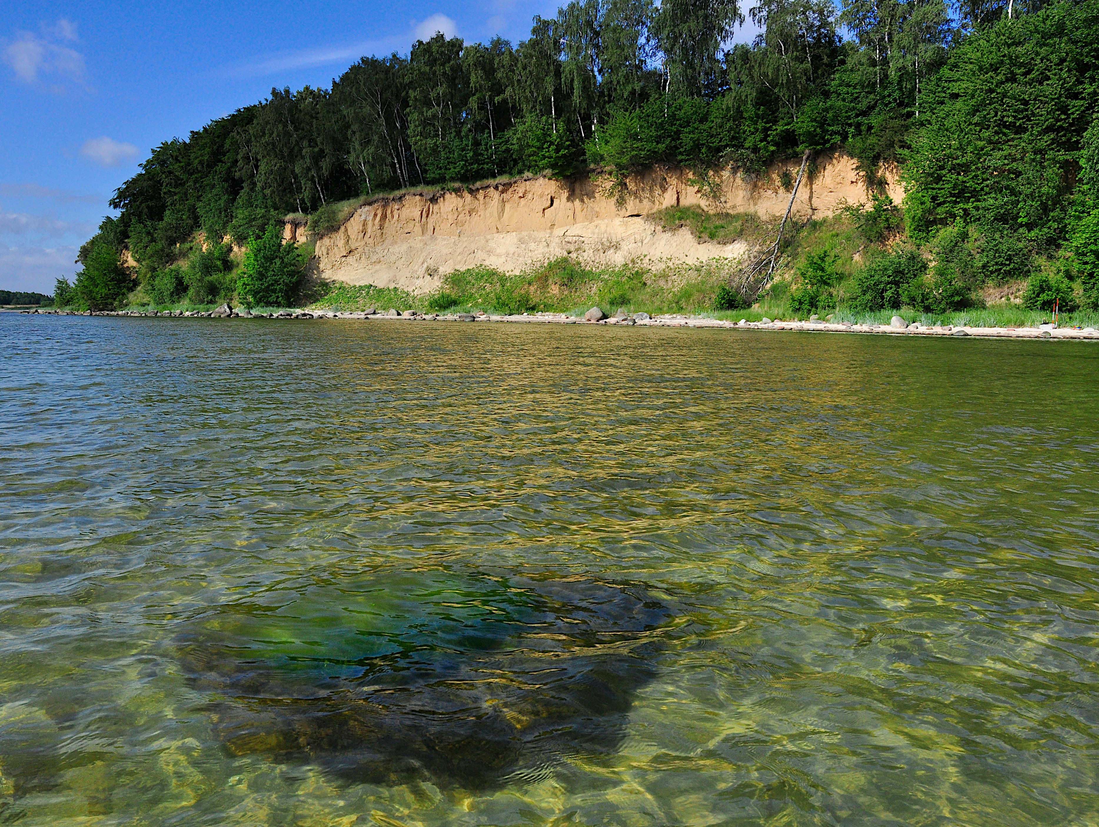 Park Rzeźby Kaszubskiej