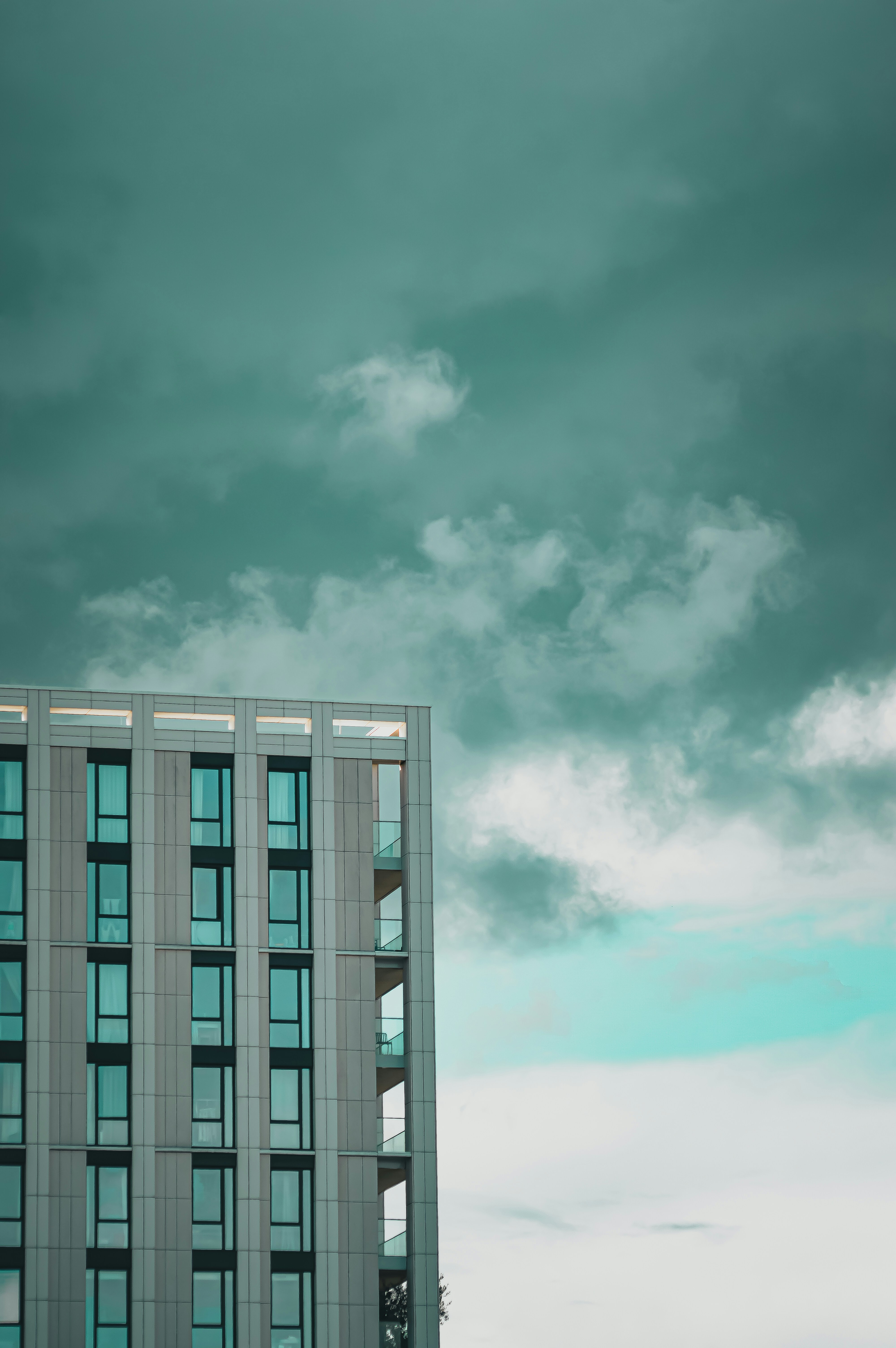 Photo by saidyigitcamlica