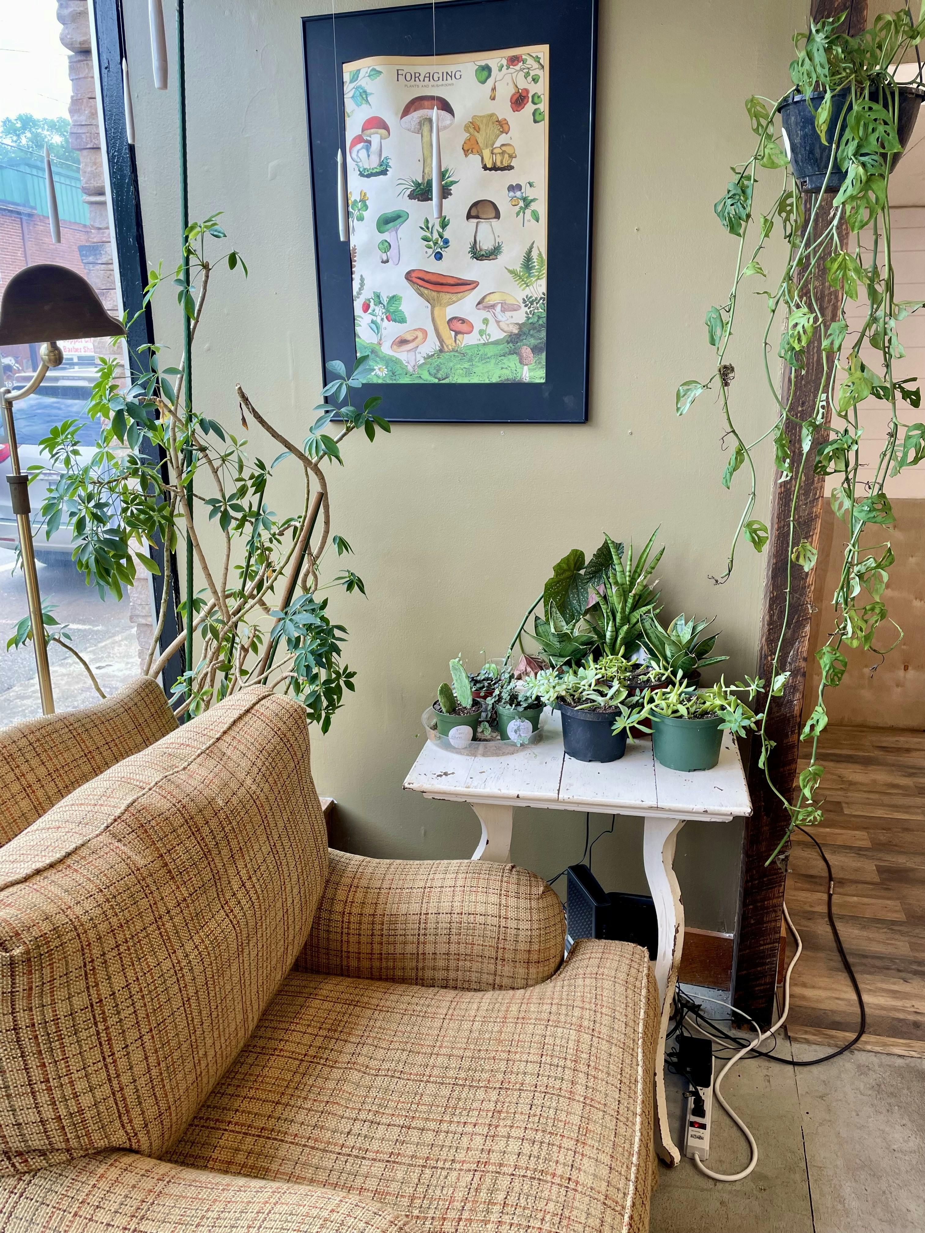 A living room filled with furniture and plants