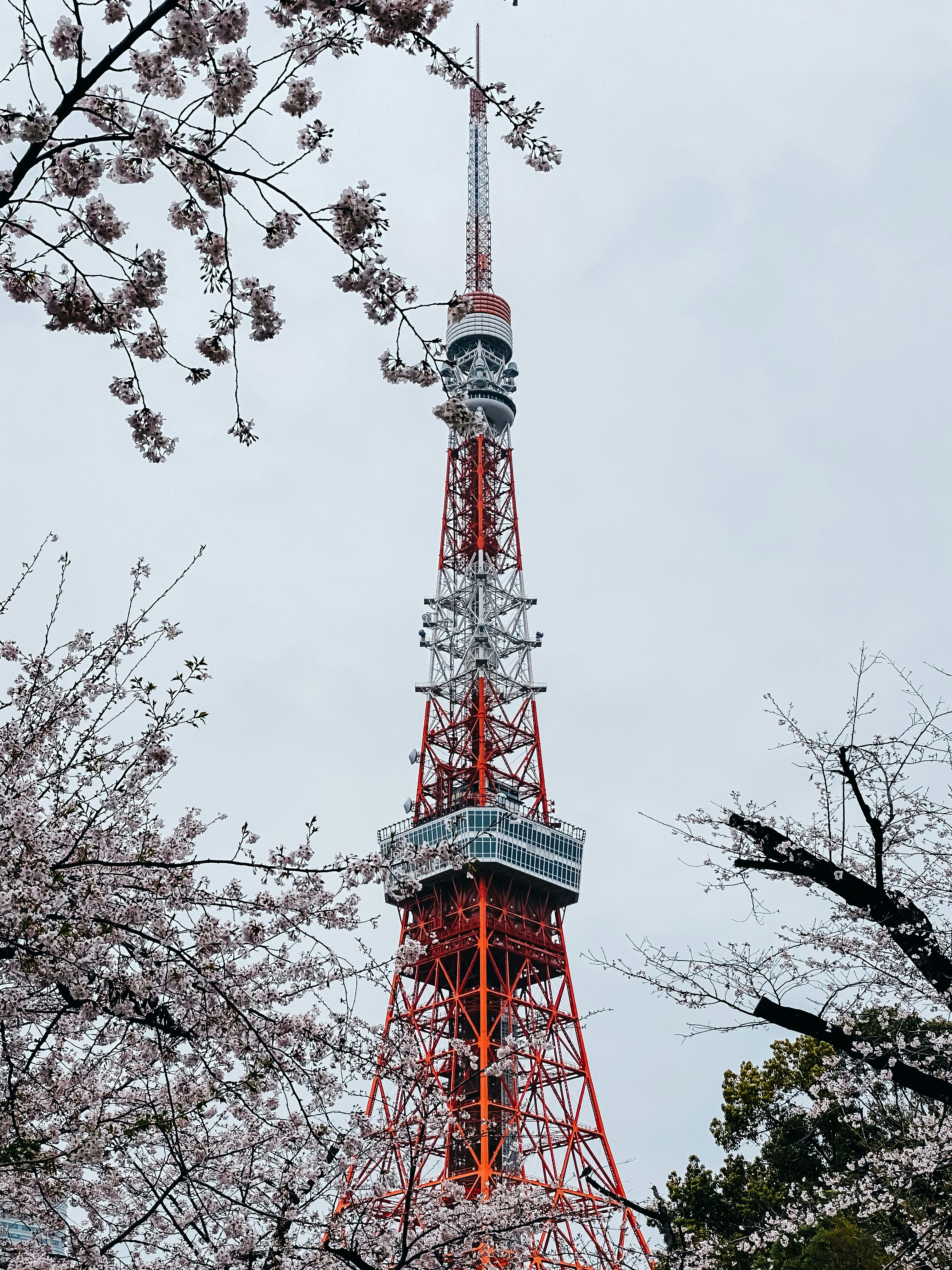 Photo by mengwah0727