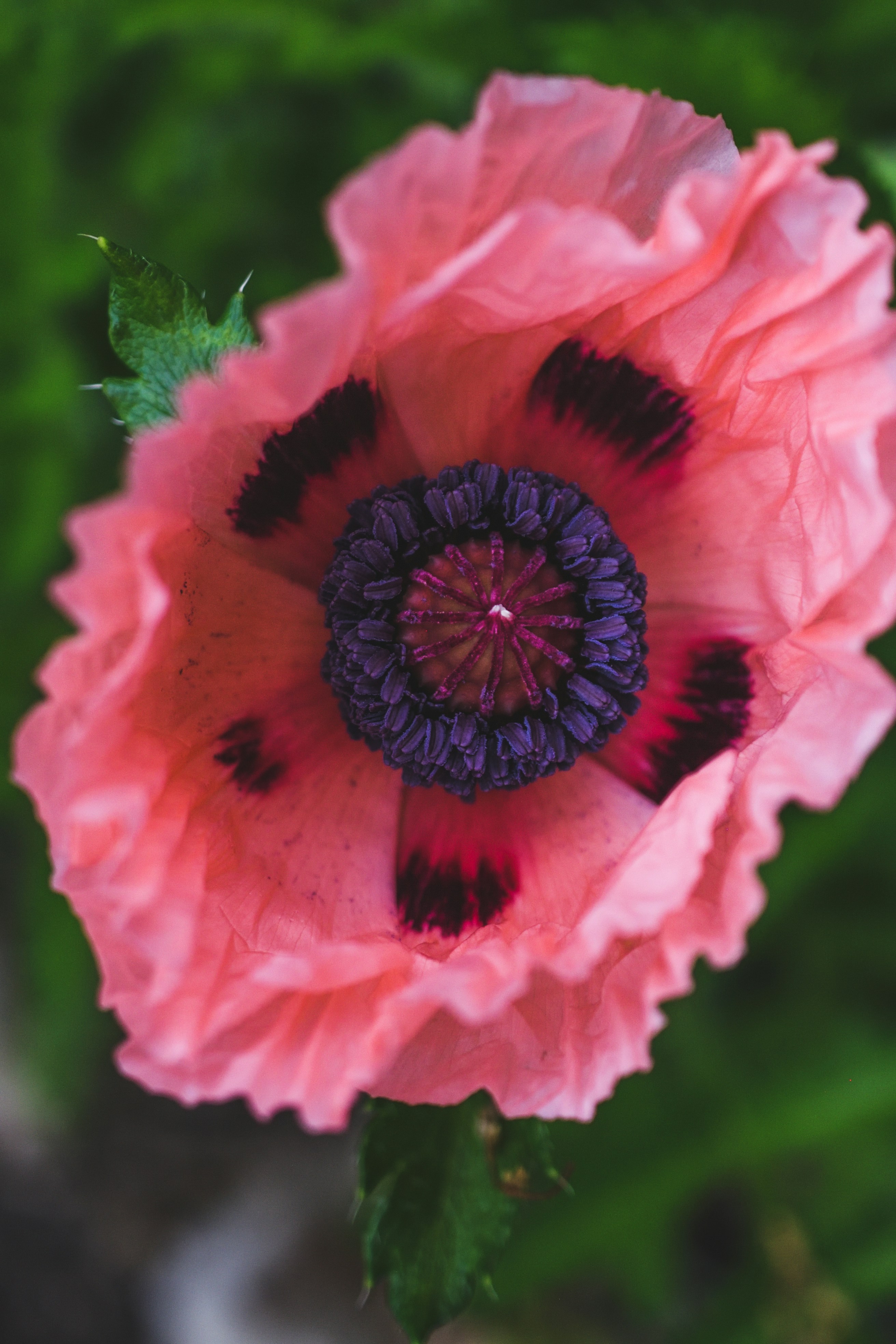 Photo by haleyparson