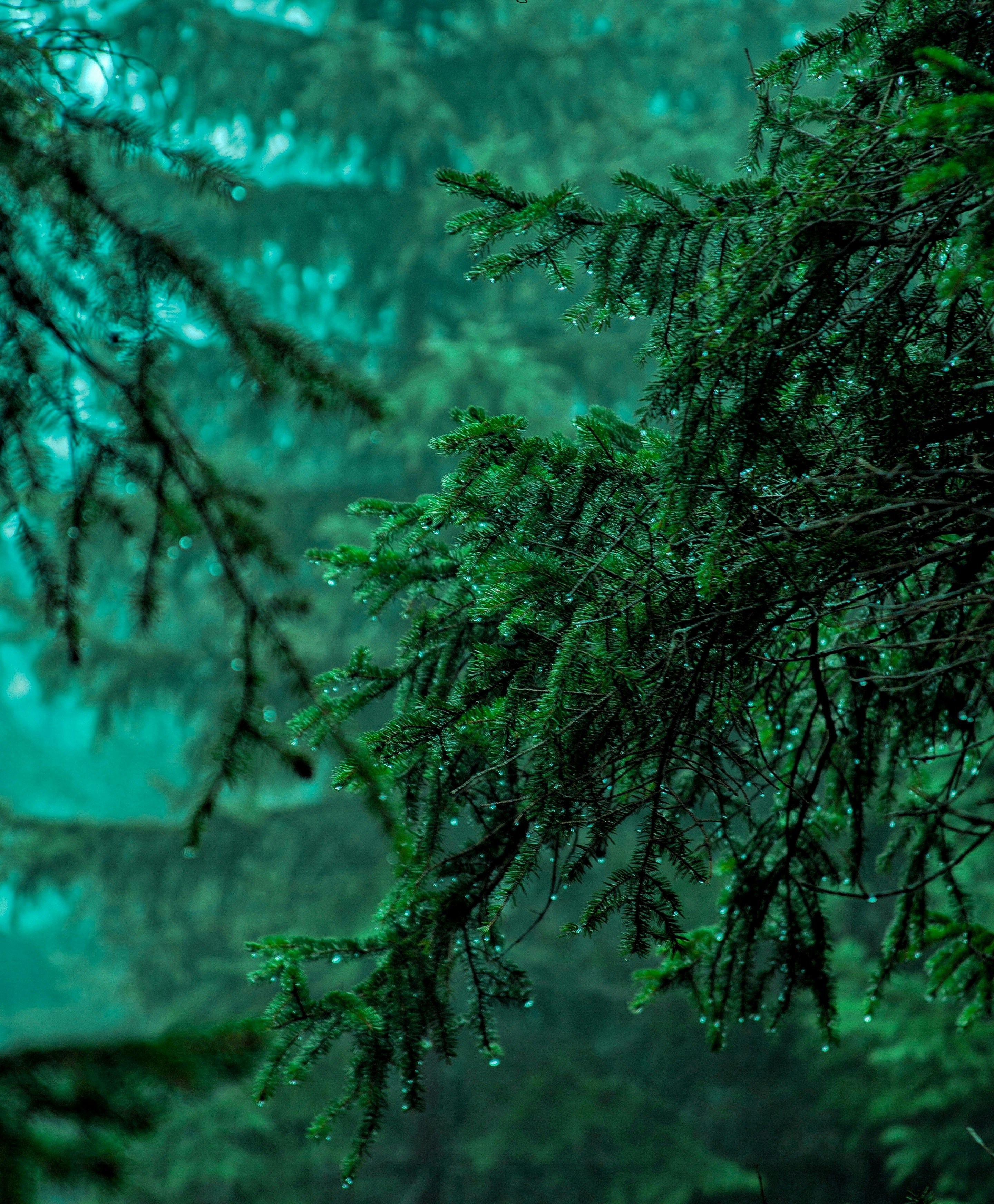 Photo by amigos_shine0