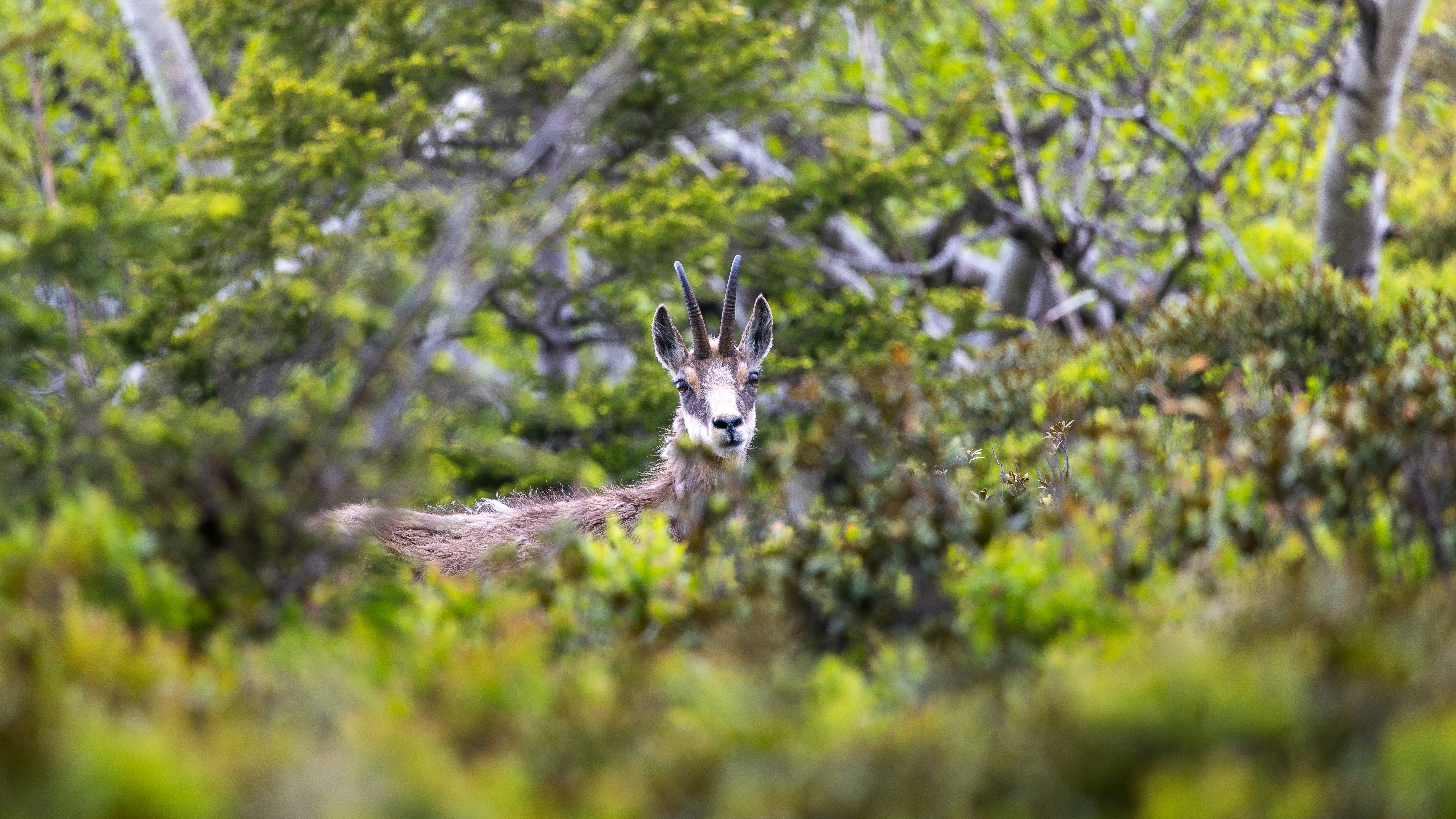 Photo by marekpiwnicki