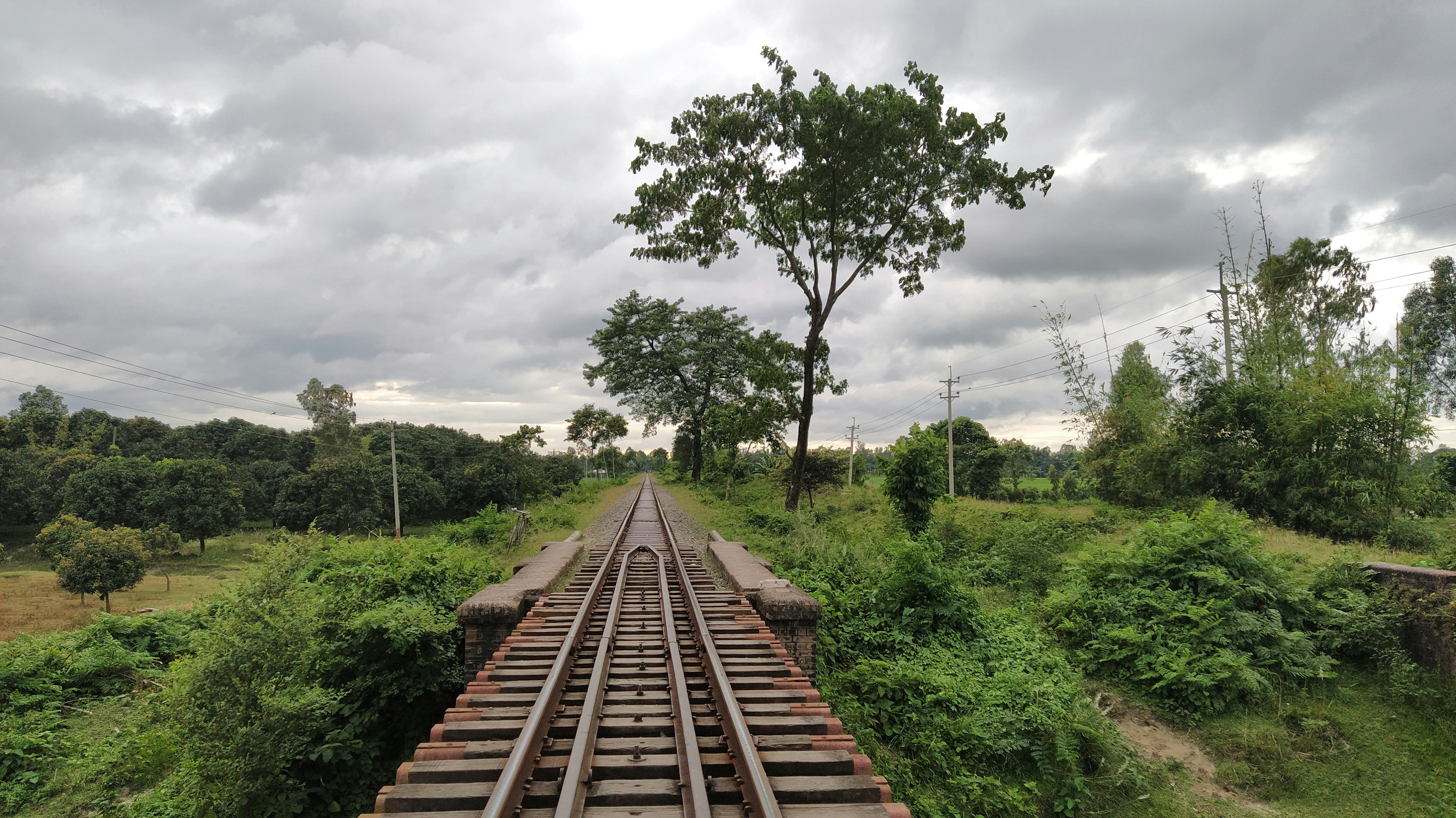 A train track running through a lush green countryside