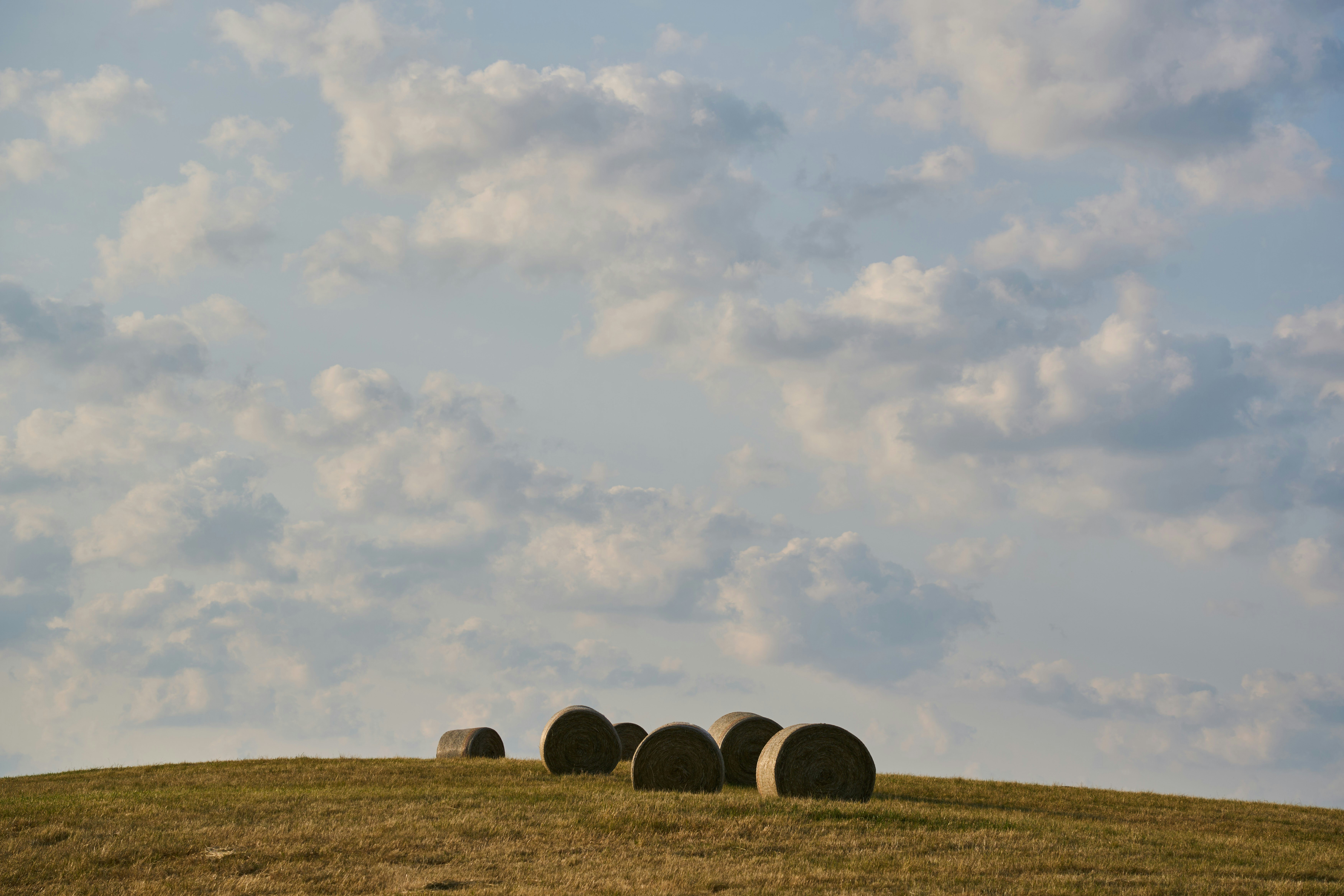 Photo by wolfgang_hasselmann