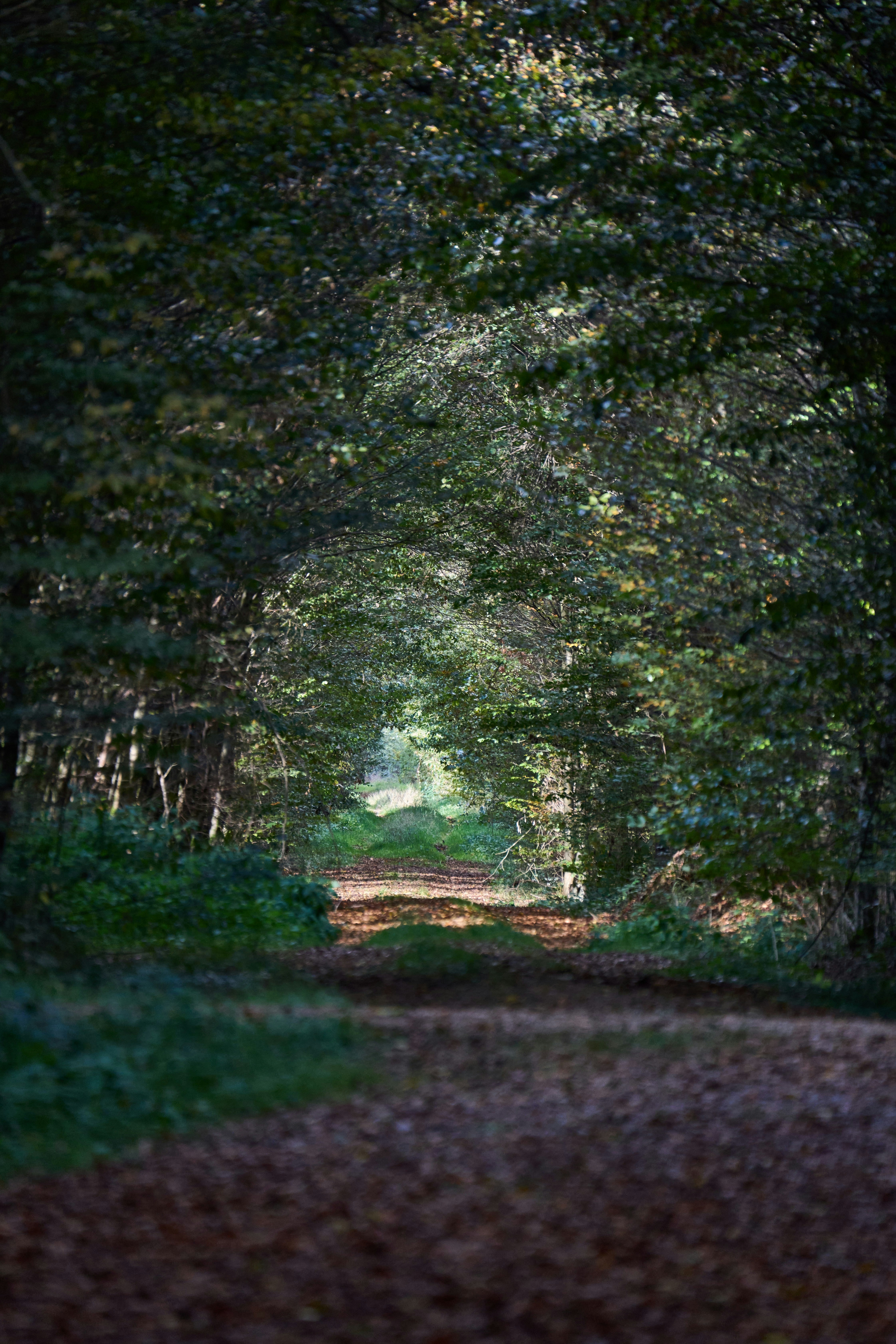 Photo by wolfgang_hasselmann