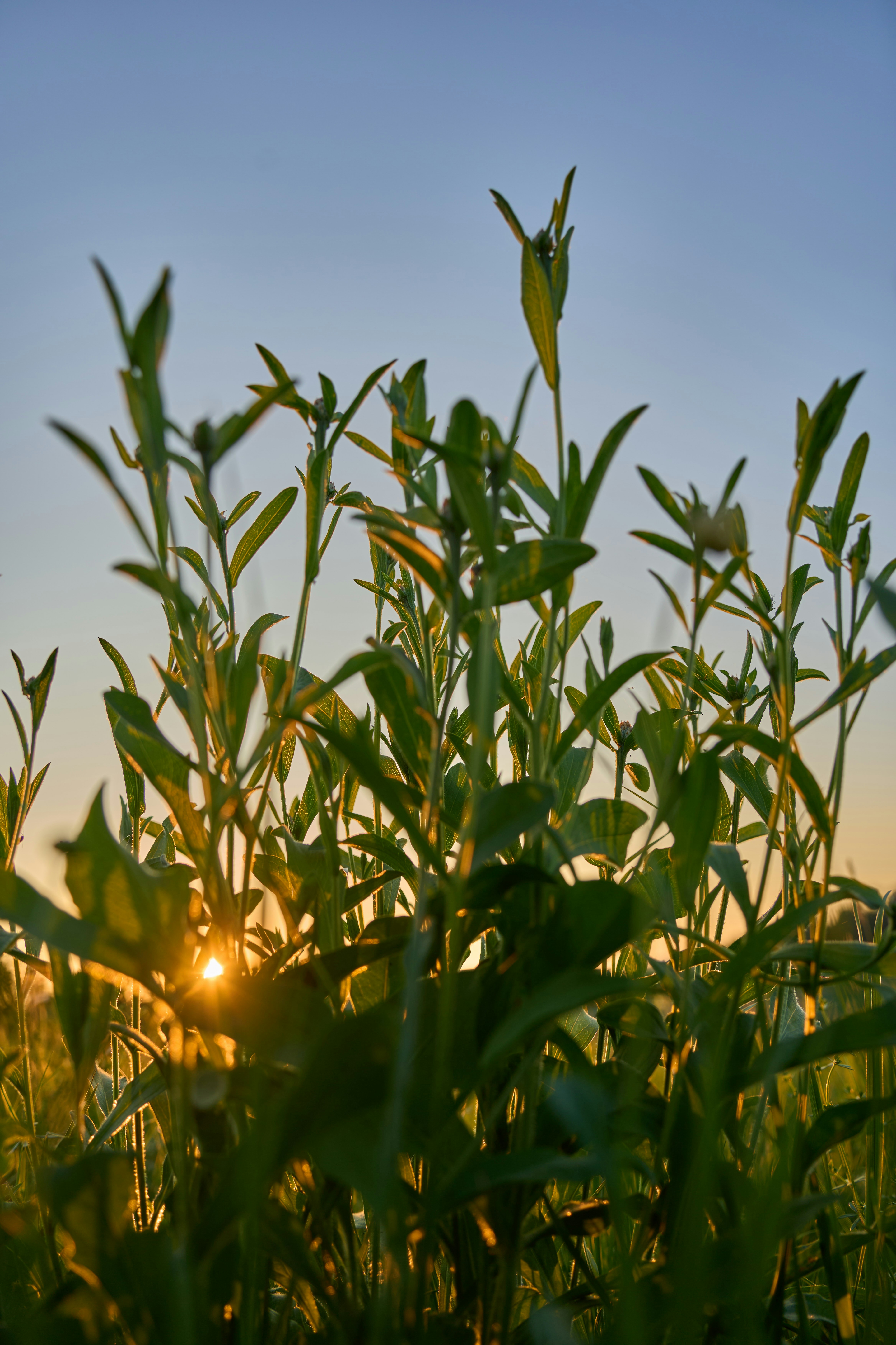 Photo by wolfgang_hasselmann