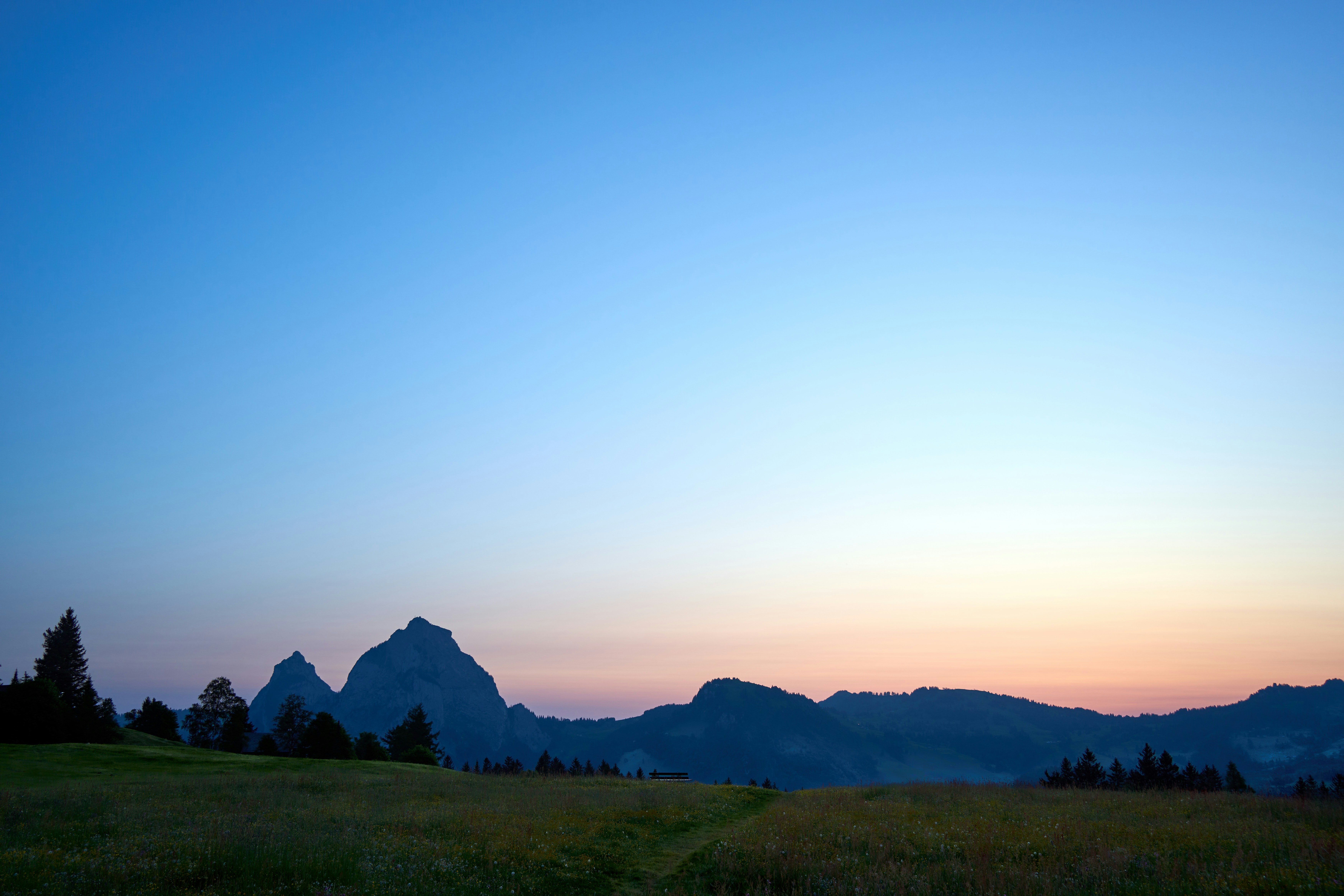 Photo by wolfgang_hasselmann