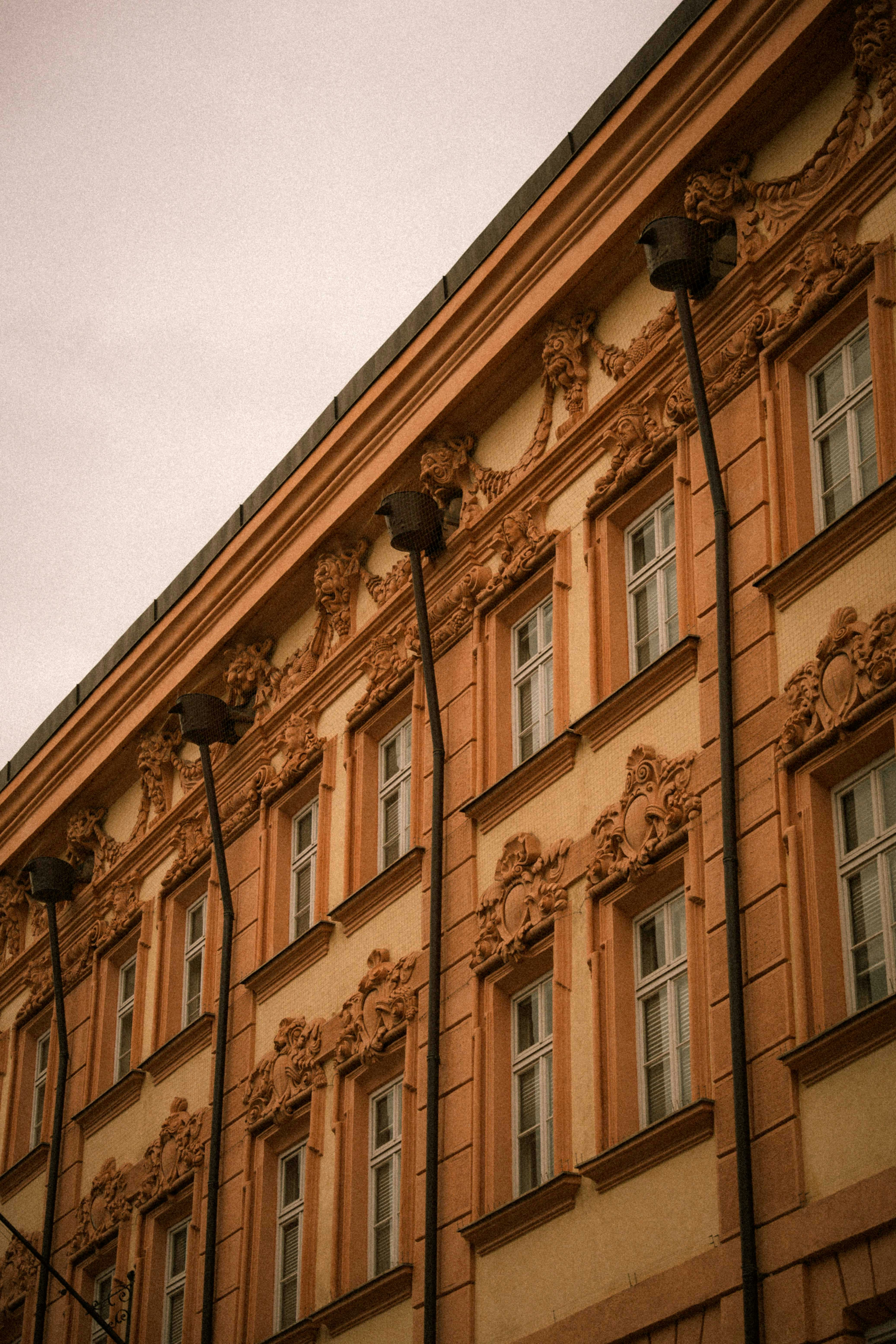 Photo by lyschneider