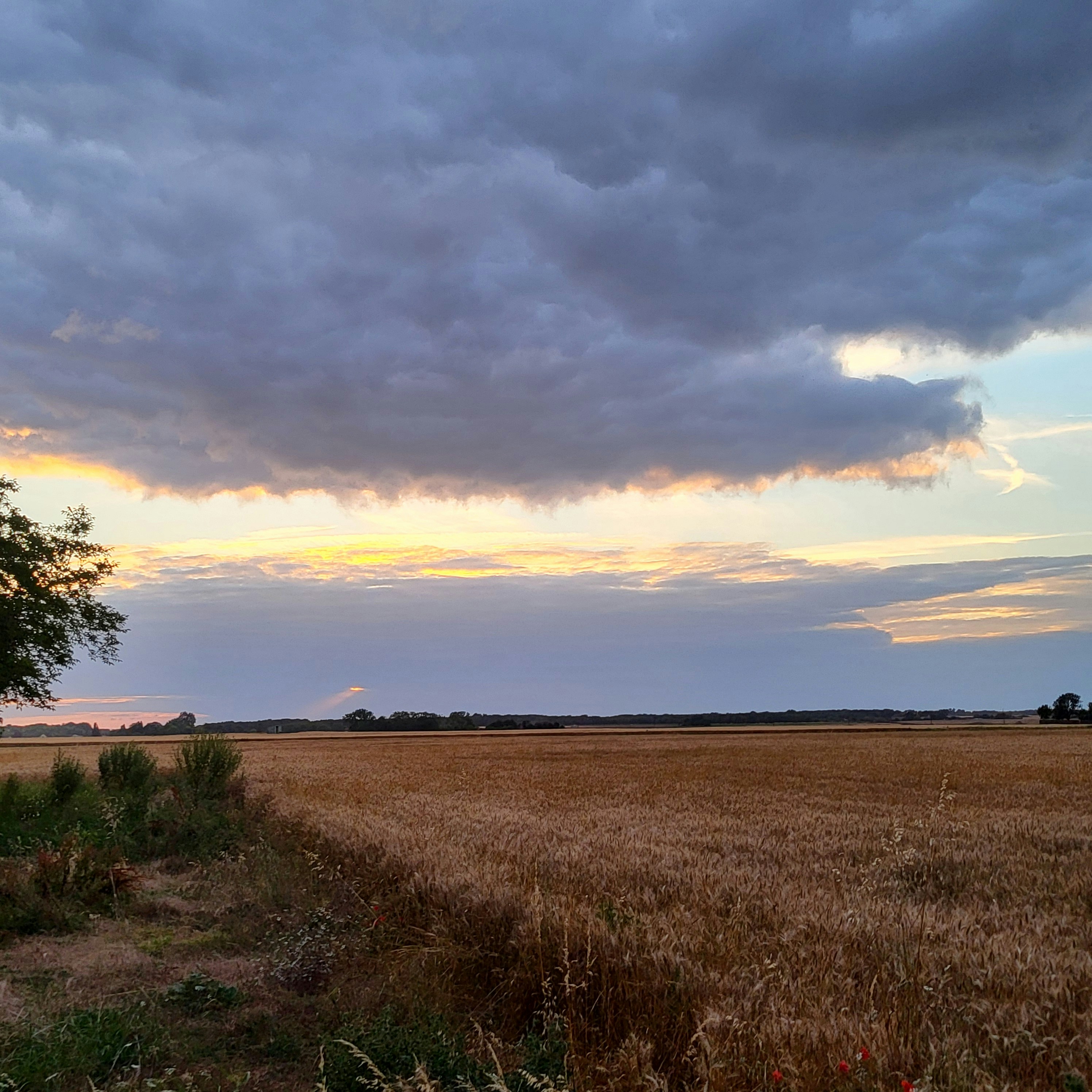 Photo by tungsten___772024