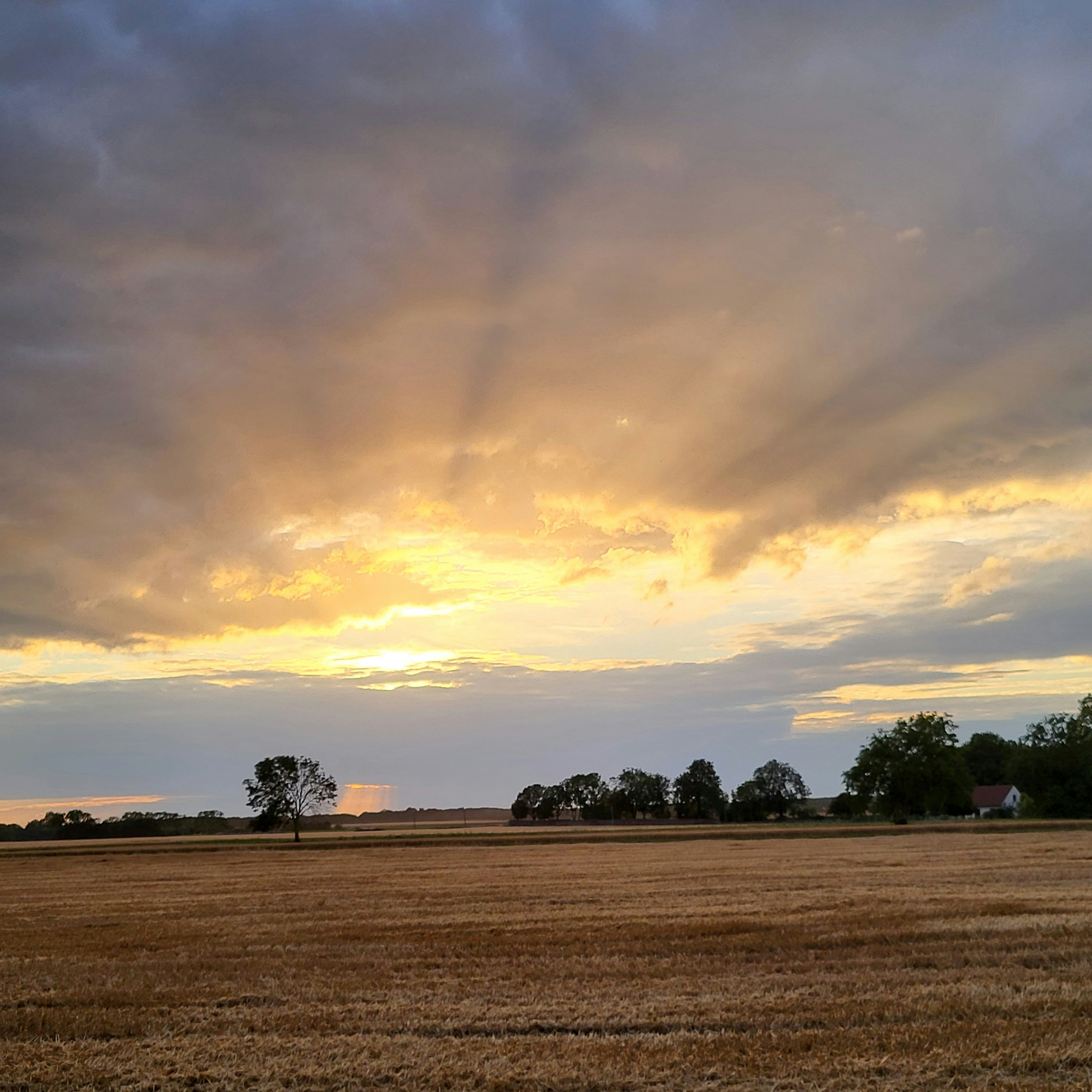 Photo by tungsten___772024