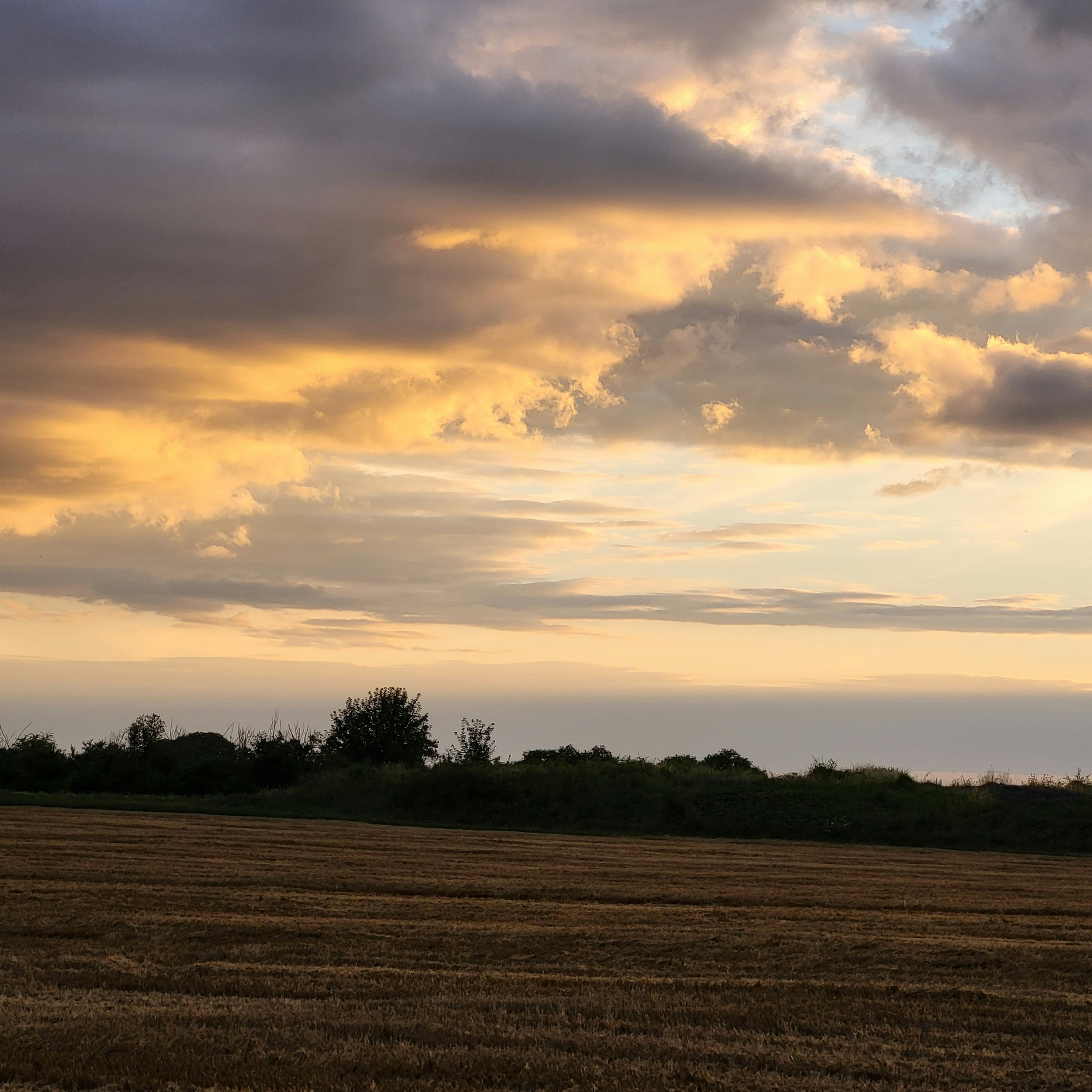 Photo by tungsten___772024