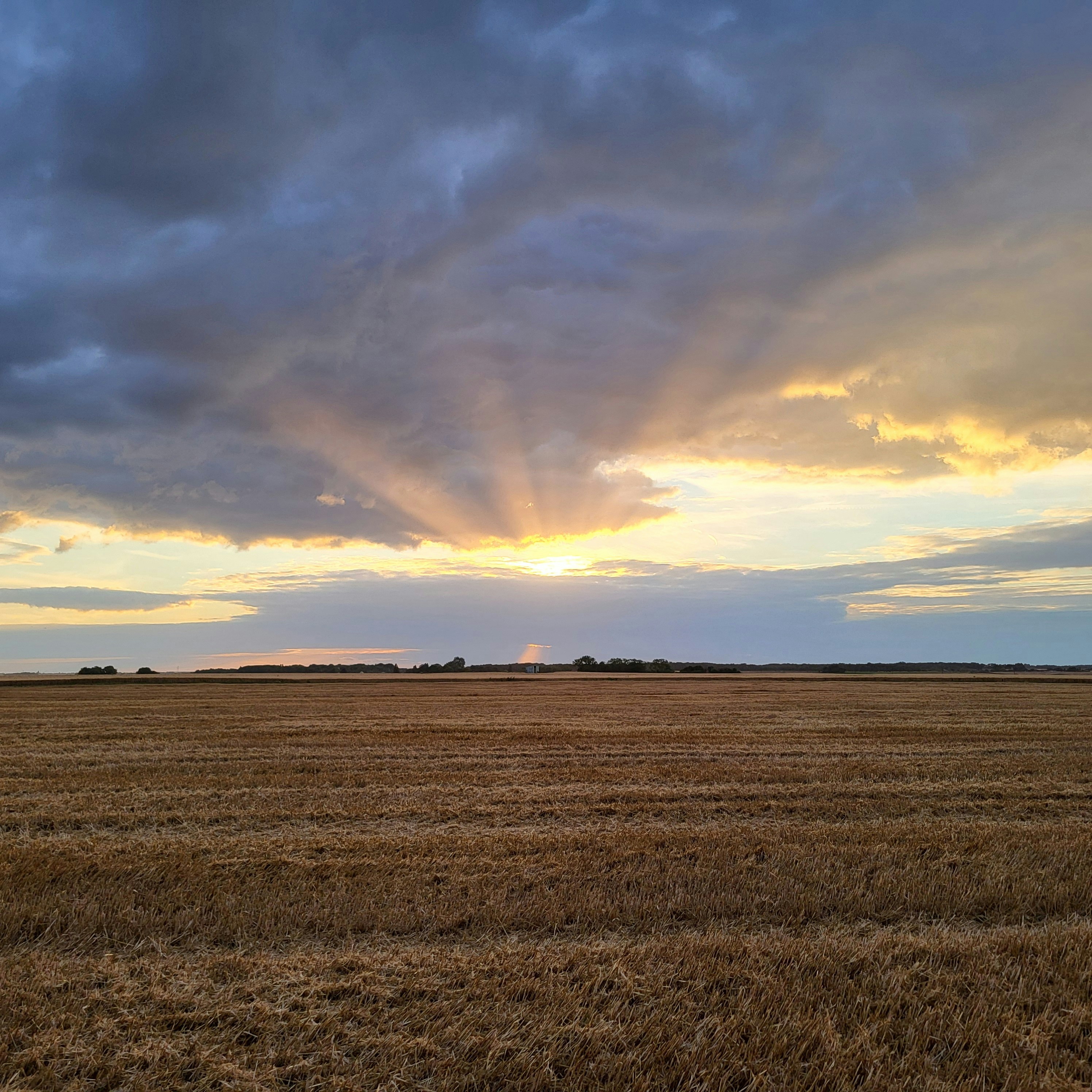 Photo by tungsten___772024