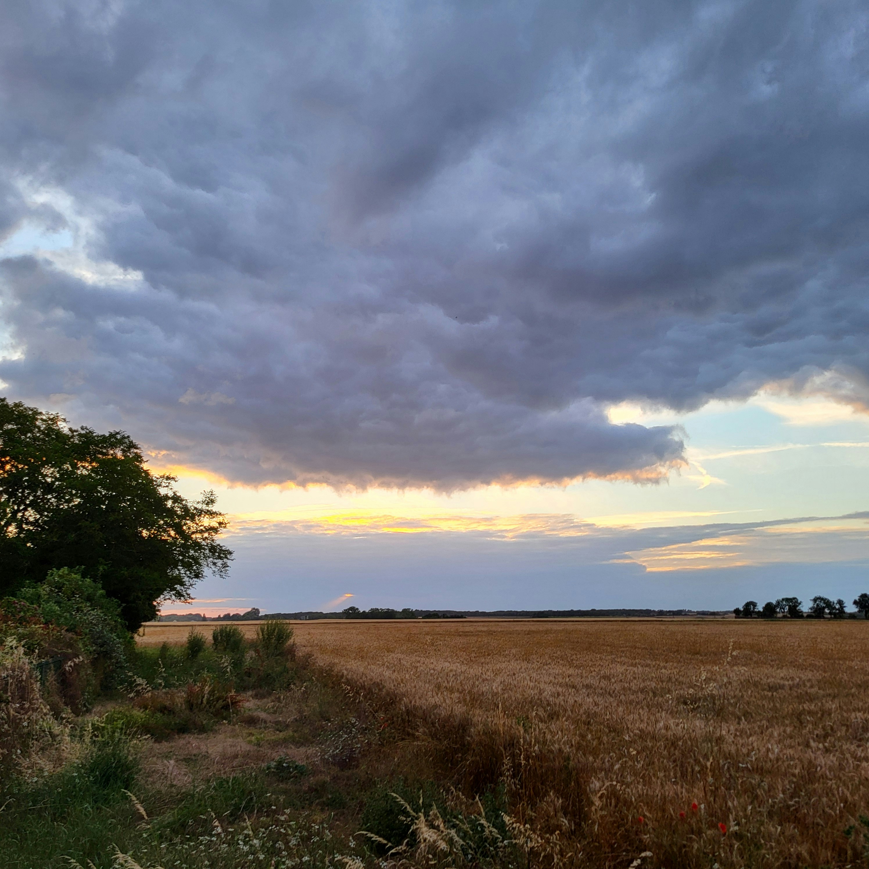 Photo by tungsten___772024