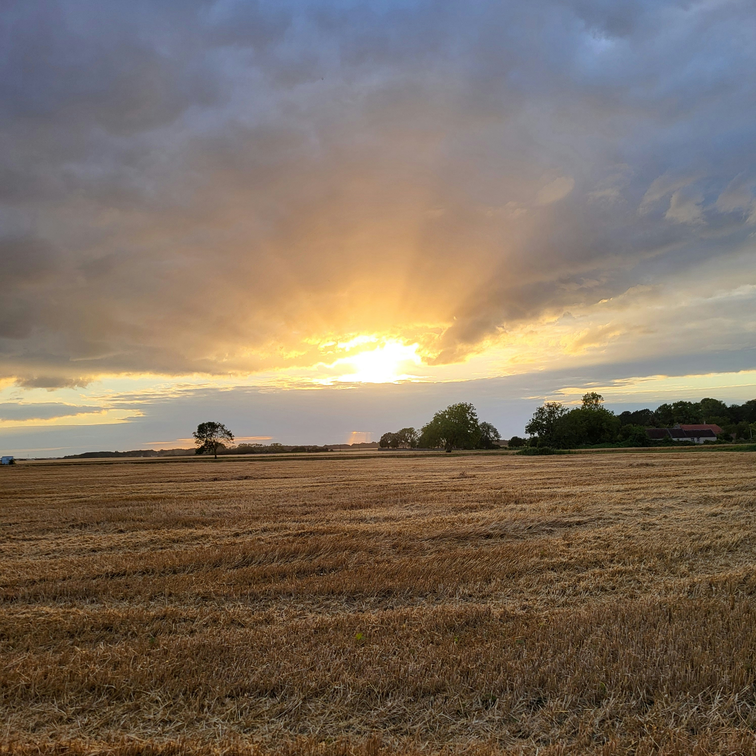 Photo by tungsten___772024