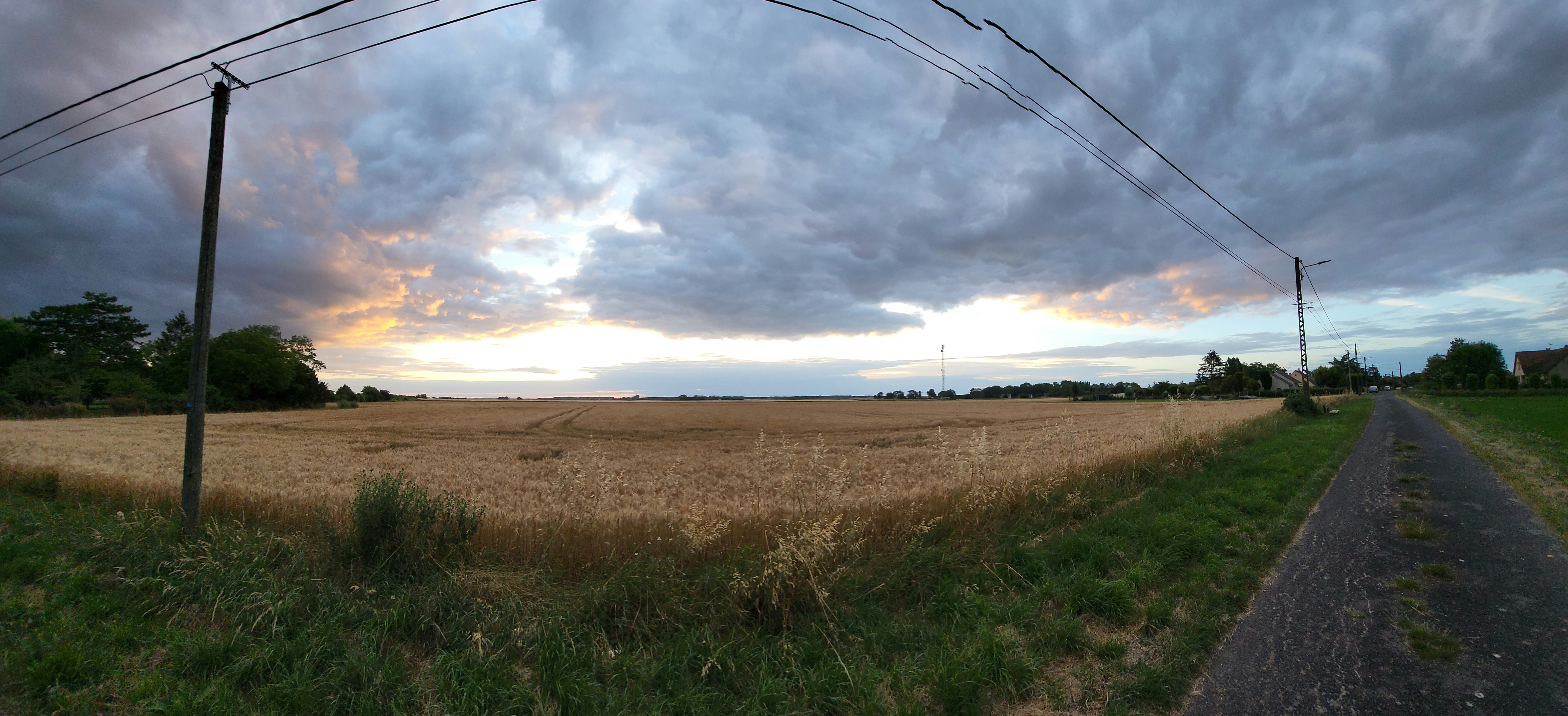 Photo by tungsten___772024