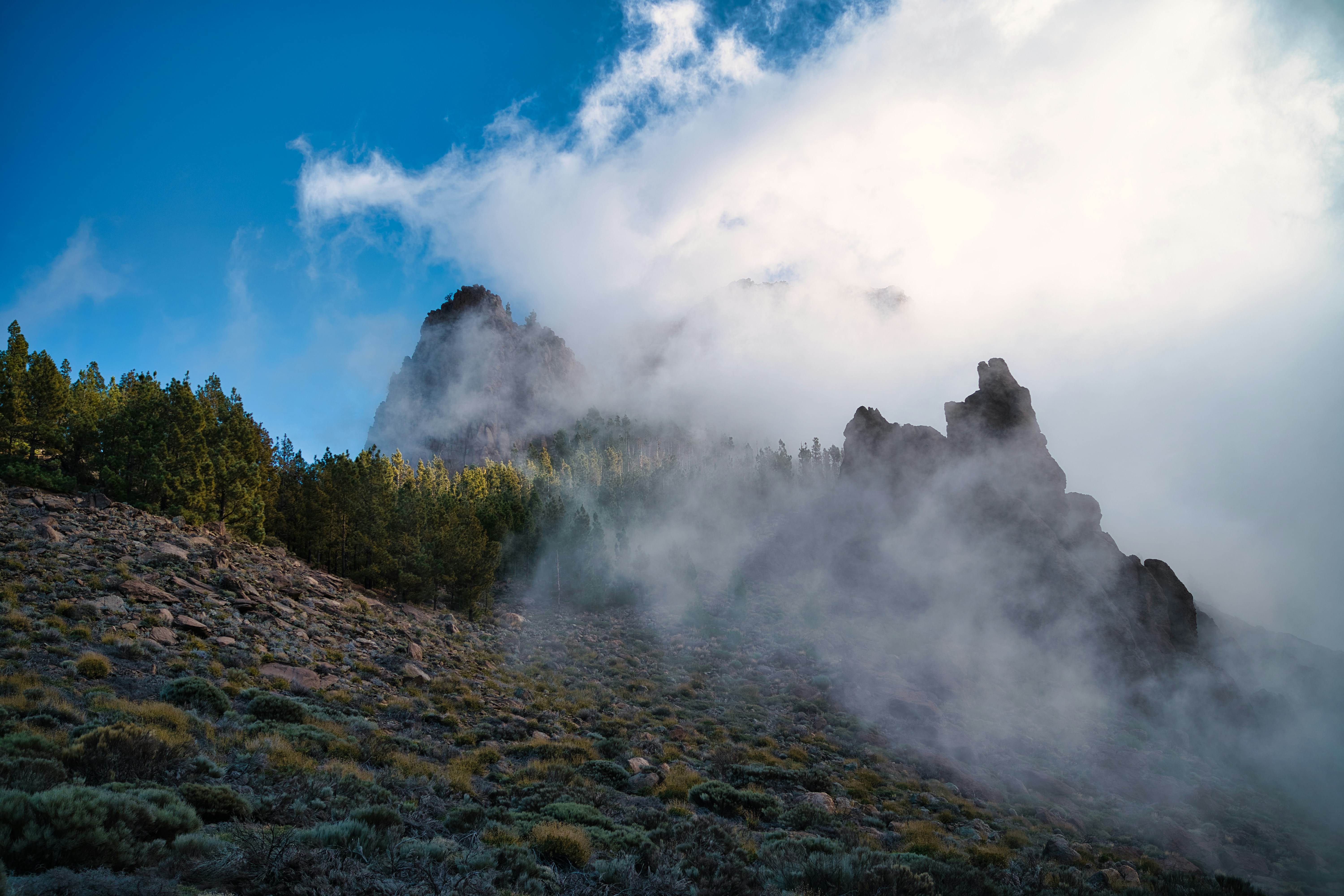 Photo by maksimshutov